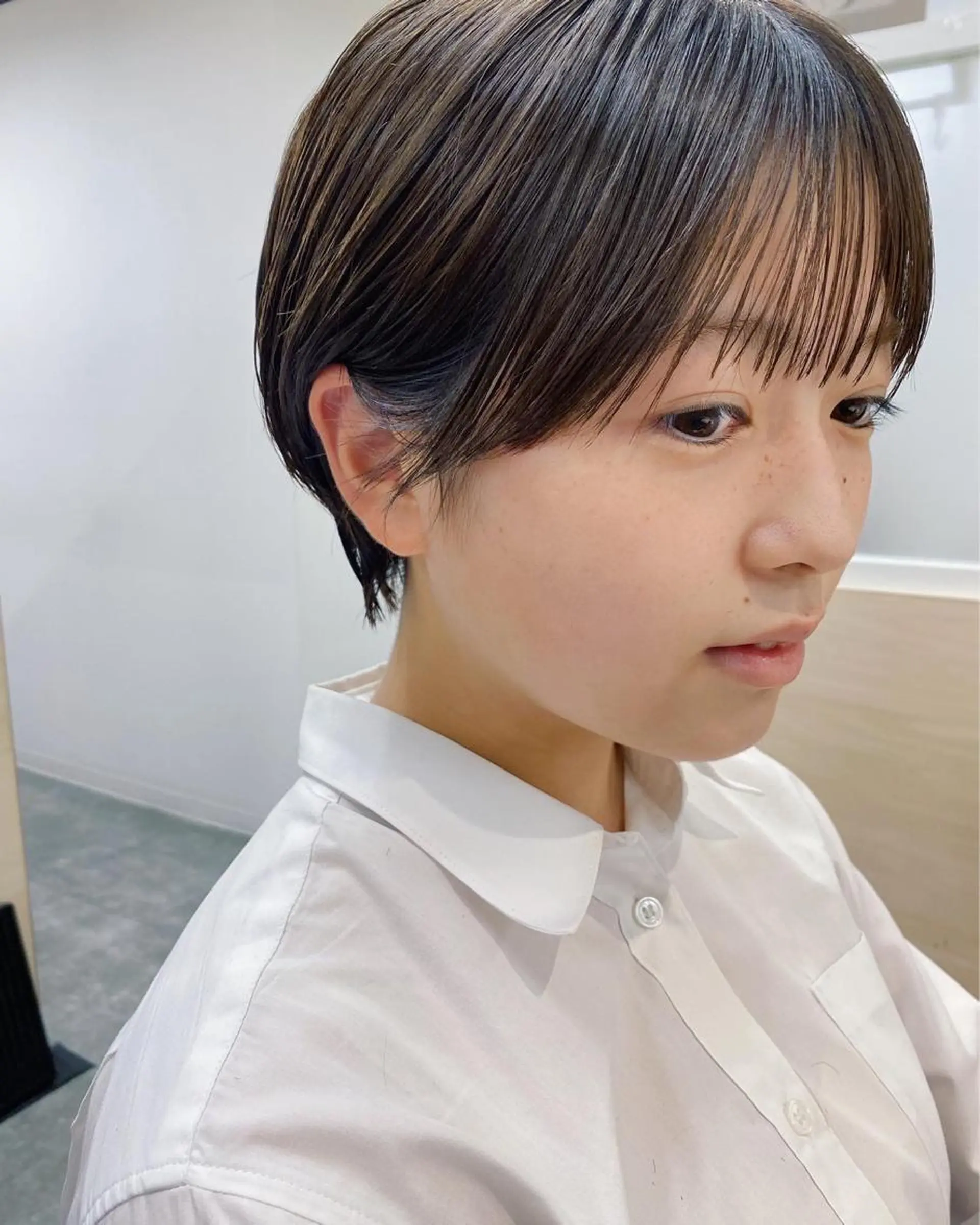 ショート カラー 🟩白髪ぼかし/ボブ /ショートヘア/大司のヘアスタイル