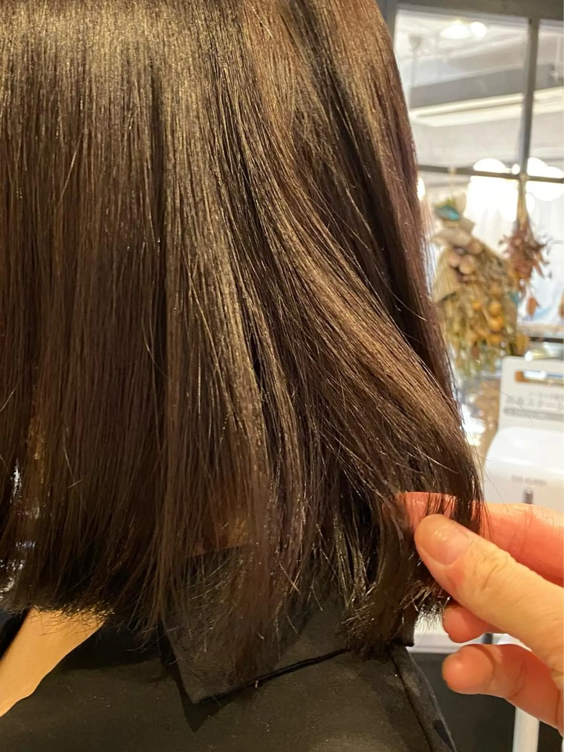 カラー ブラウンカラー & Graph. 立川🥣🌿のヘアスタイル