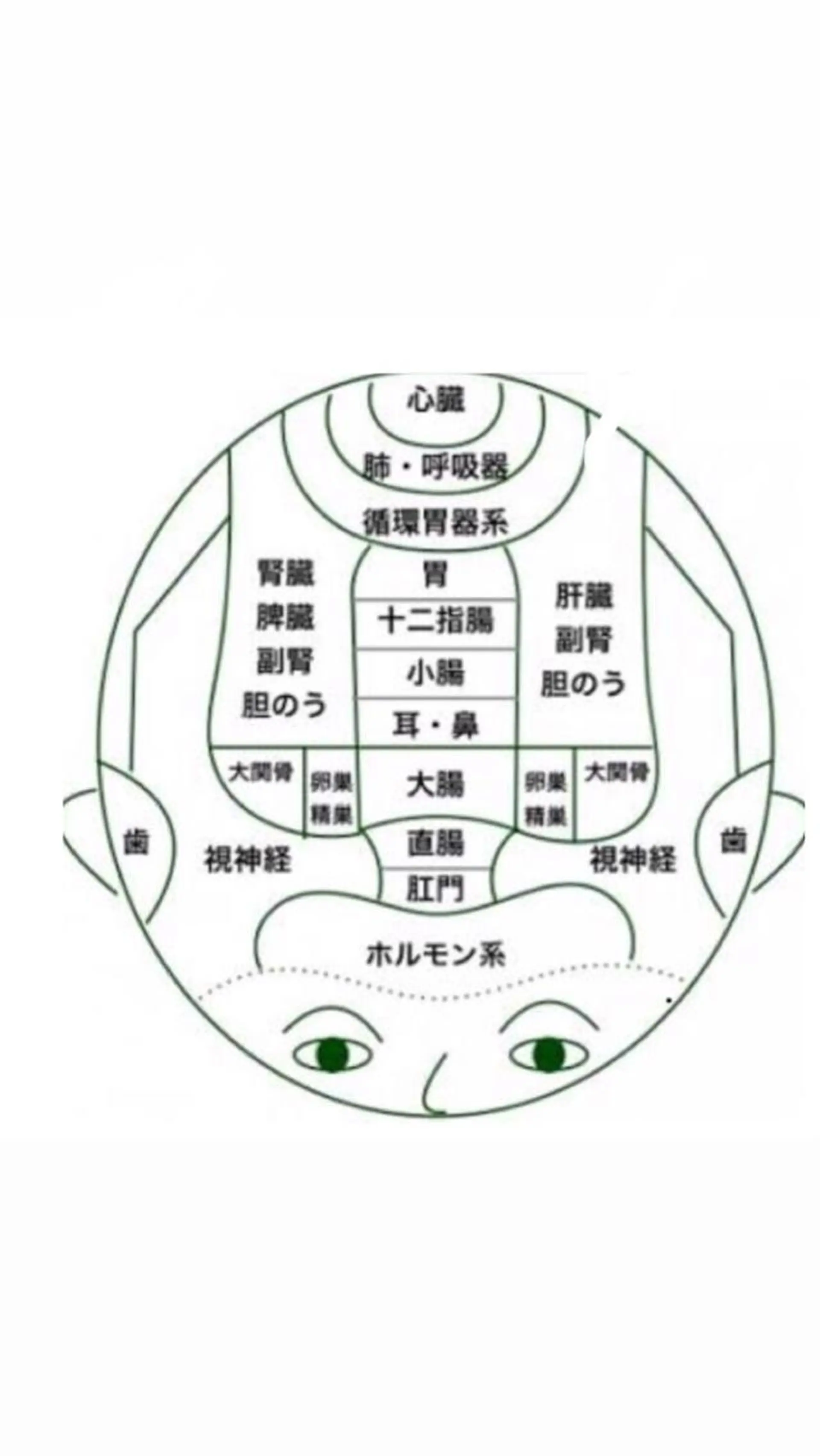 ヘッドスパ i'llbe イルビーのエステ・リラクイメージ