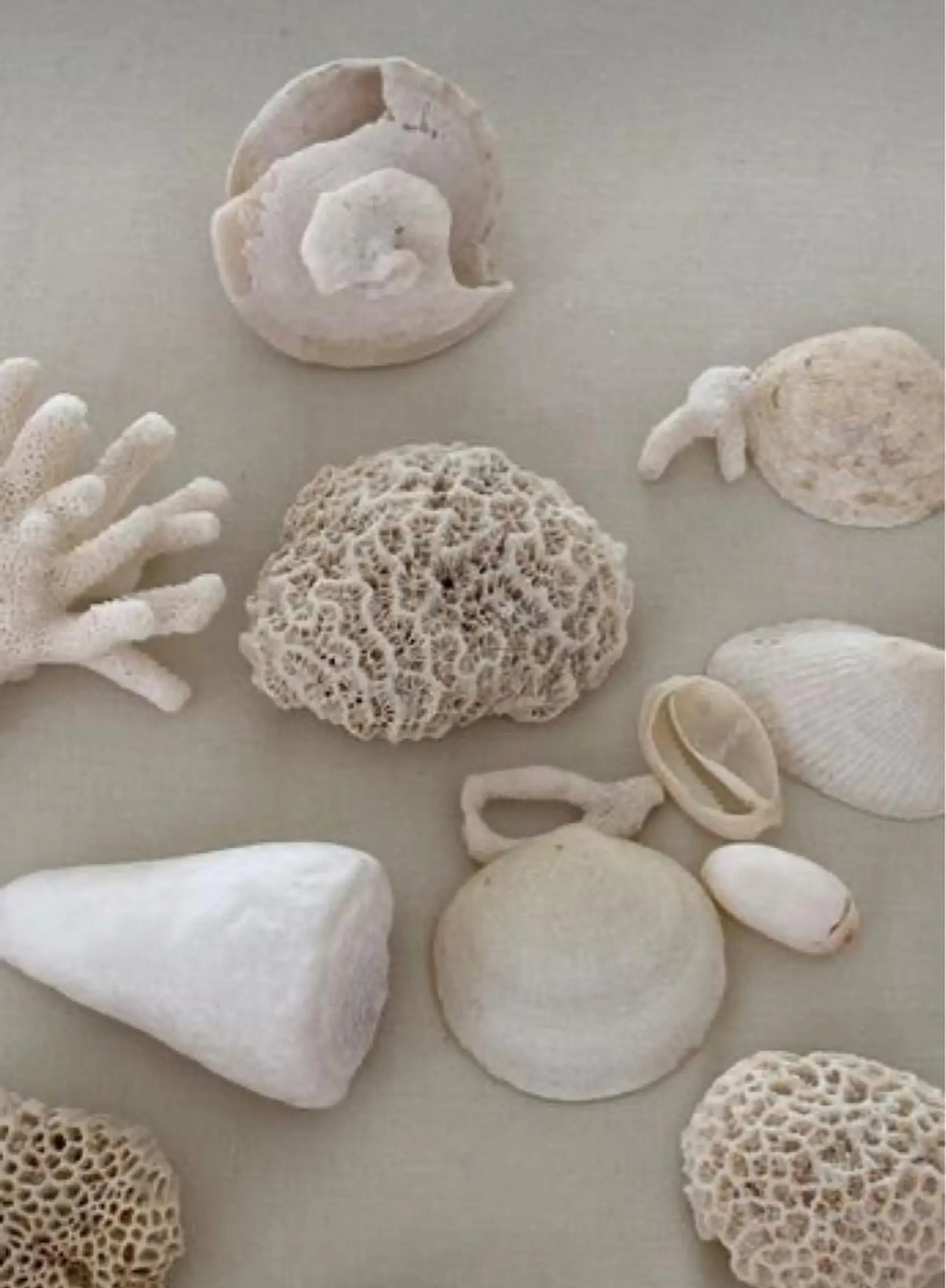 🫧縮毛矯正／カラー ／bless松浦🫧のヘアスタイル