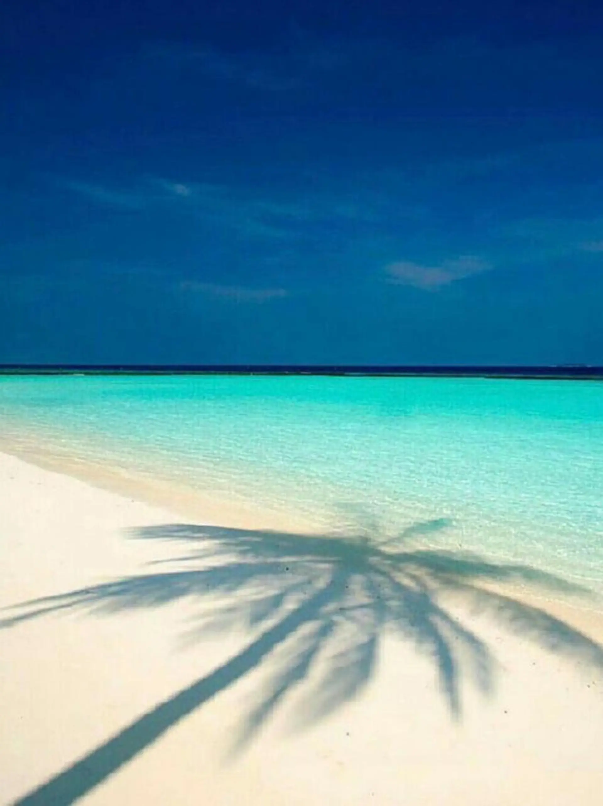 𝐘𝐎𝐒𝐇𝐈 𝐌𝐈🌞🏝のマツエク・マツパデザイン