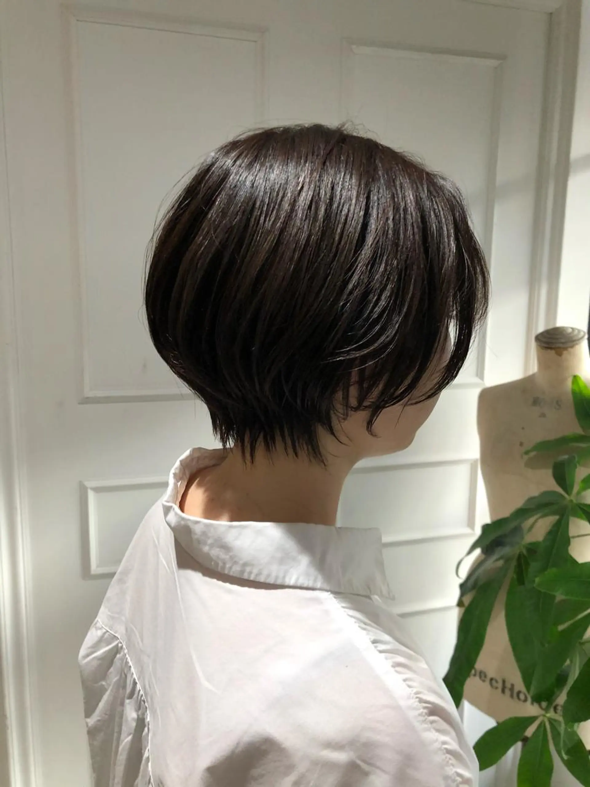 ショート カラー カット ヘアカラー トリートメント 【ショート特化】 森本　祐太のヘアスタイル