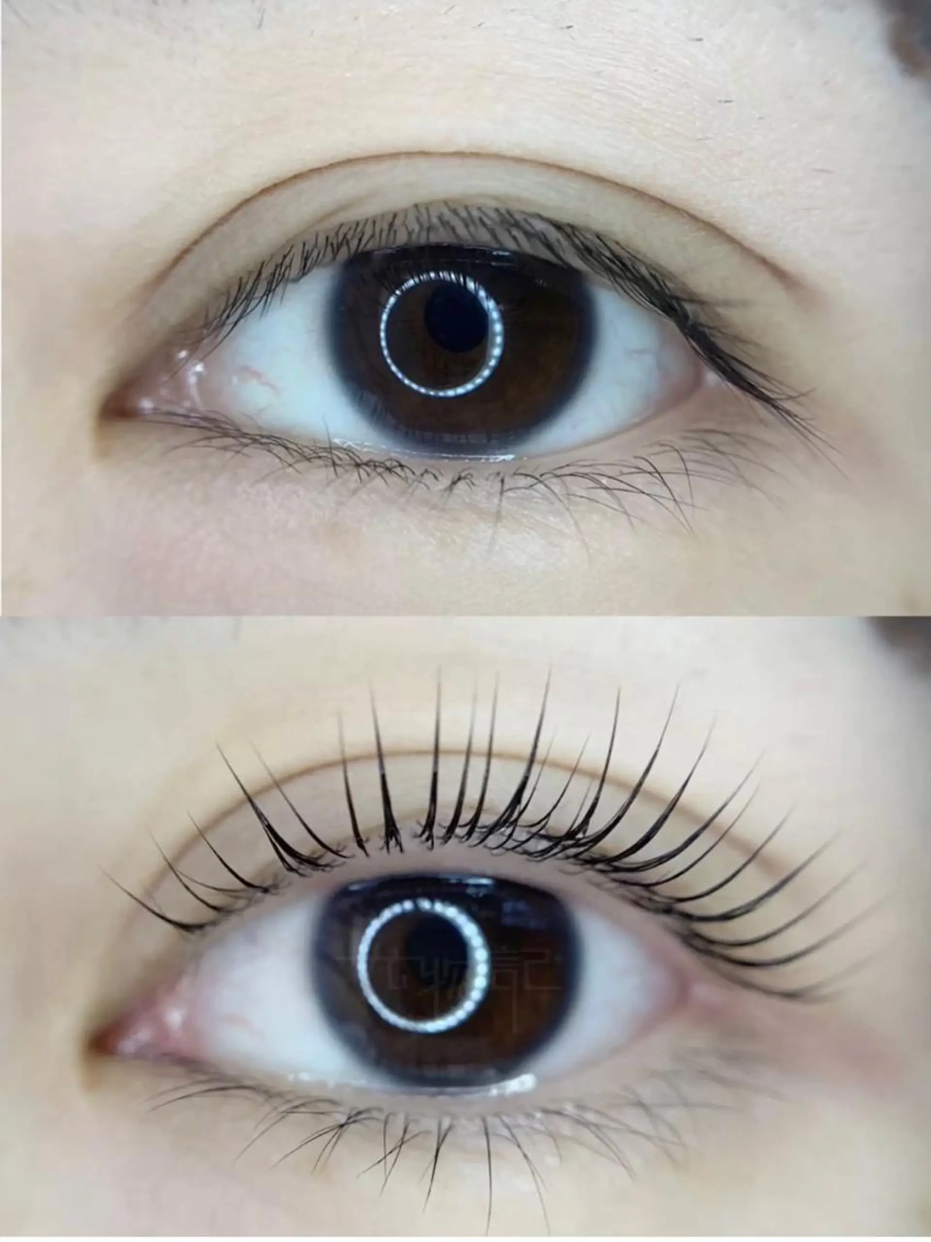 マツエク・マツパ パリエク専門店 FOIのマツエク・マツパデザイン