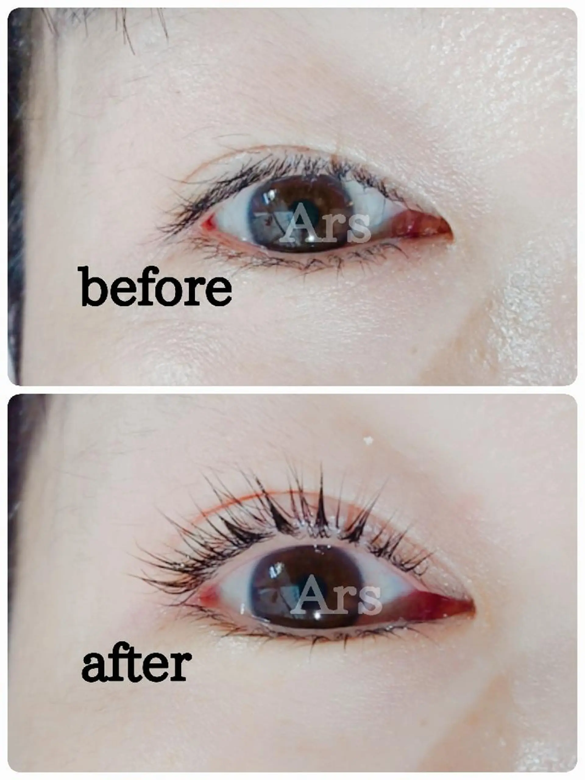 マツエク・マツパ アイリッドアップパーマ Ars      (ｱﾙｽ)のマツエク・マツパデザイン