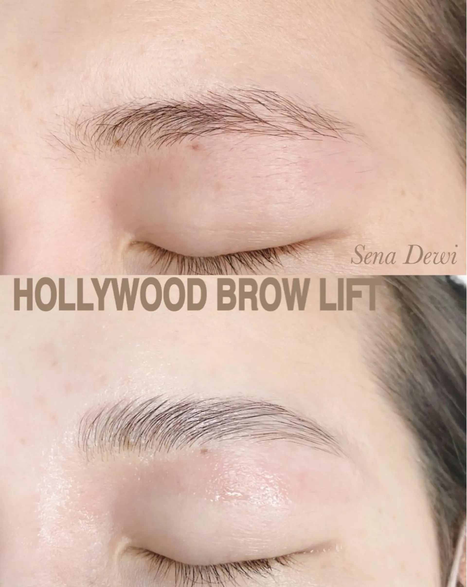 アイブロウ Sena Dewi Yukiの眉毛・アイブロウイメージ