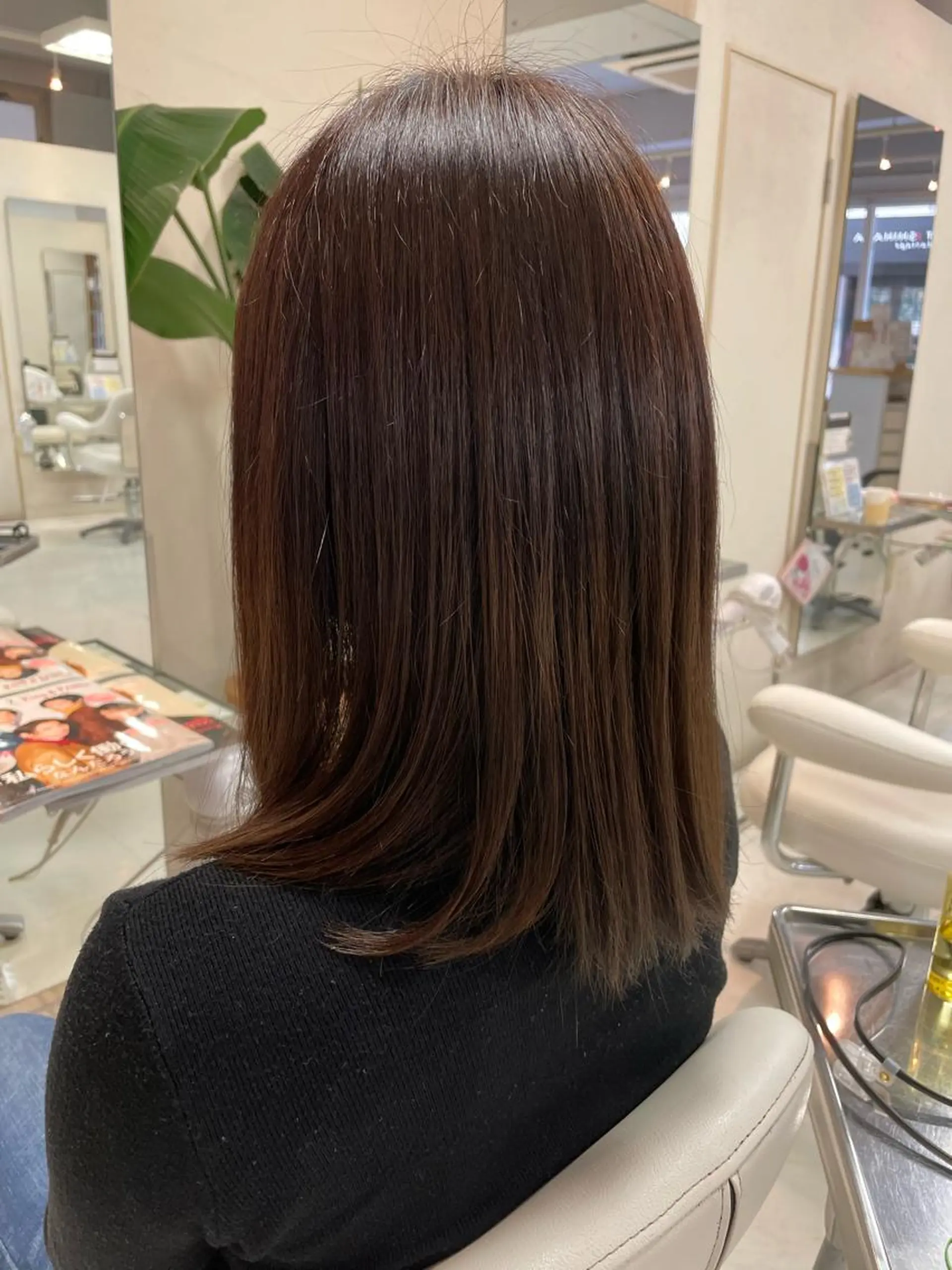 セミロング カラー カット 藤田 聖矢のヘアスタイル