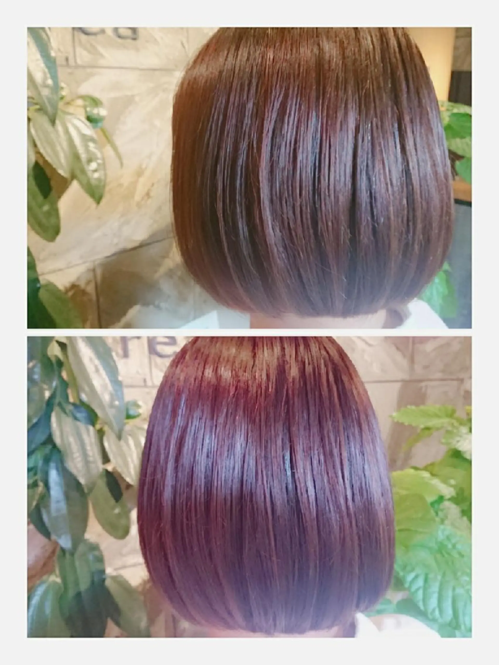 ショート 清水 旭美のヘアスタイル