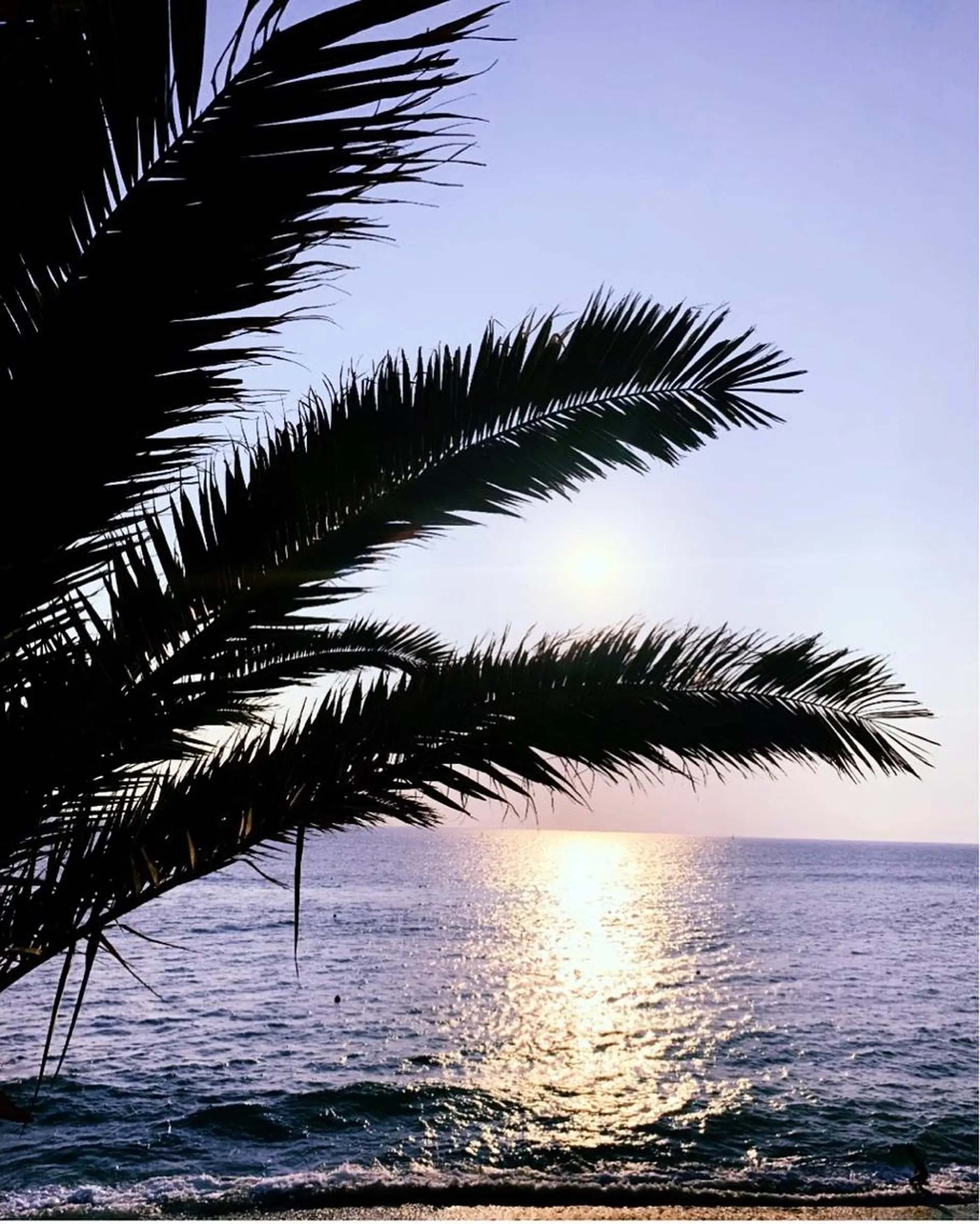 𝐘𝐎𝐒𝐇𝐈 𝐌𝐈🌞🏝のマツエク・マツパデザイン