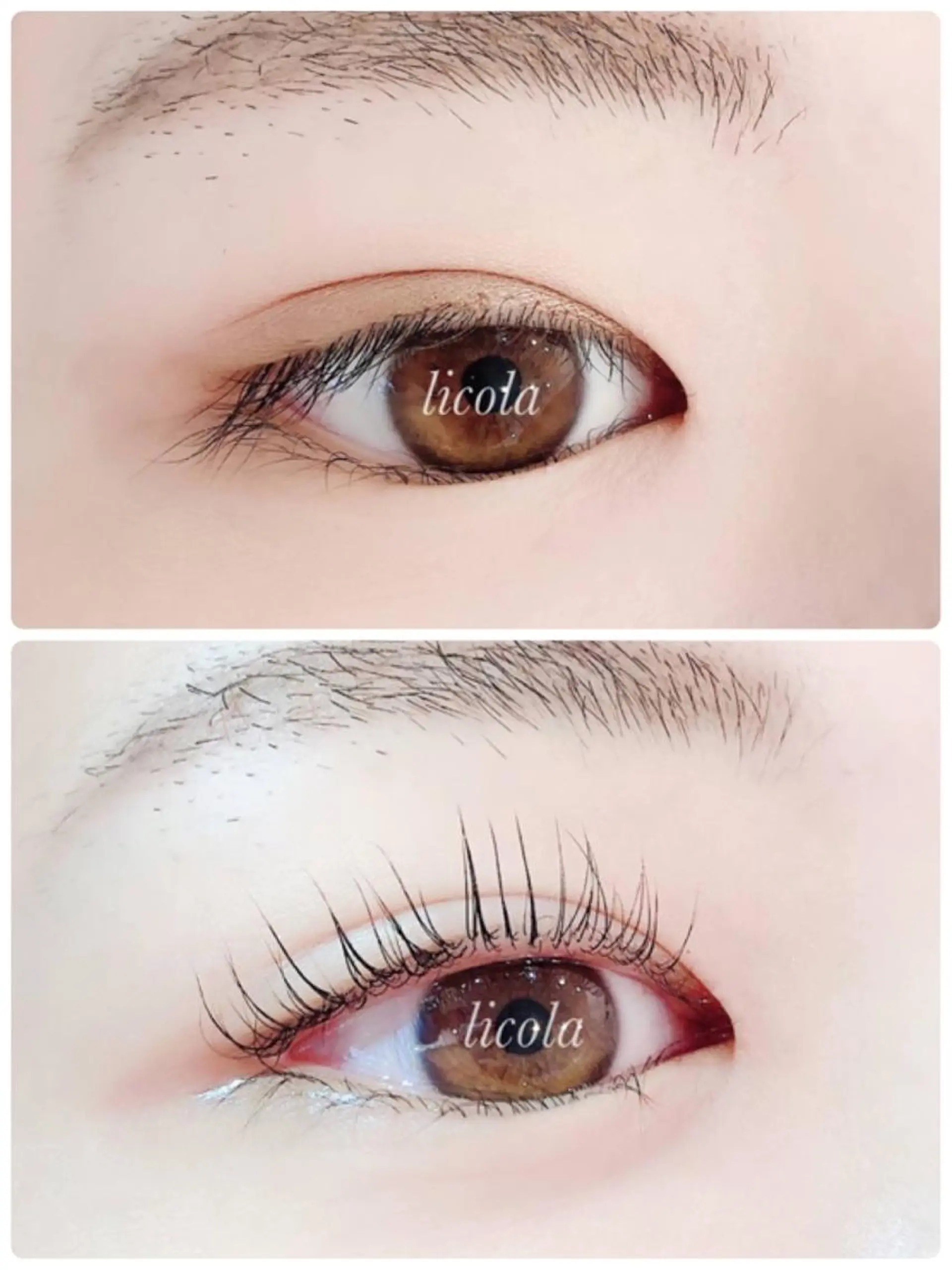 マツエク・マツパ マツパ Licola リコラのヘアスタイル