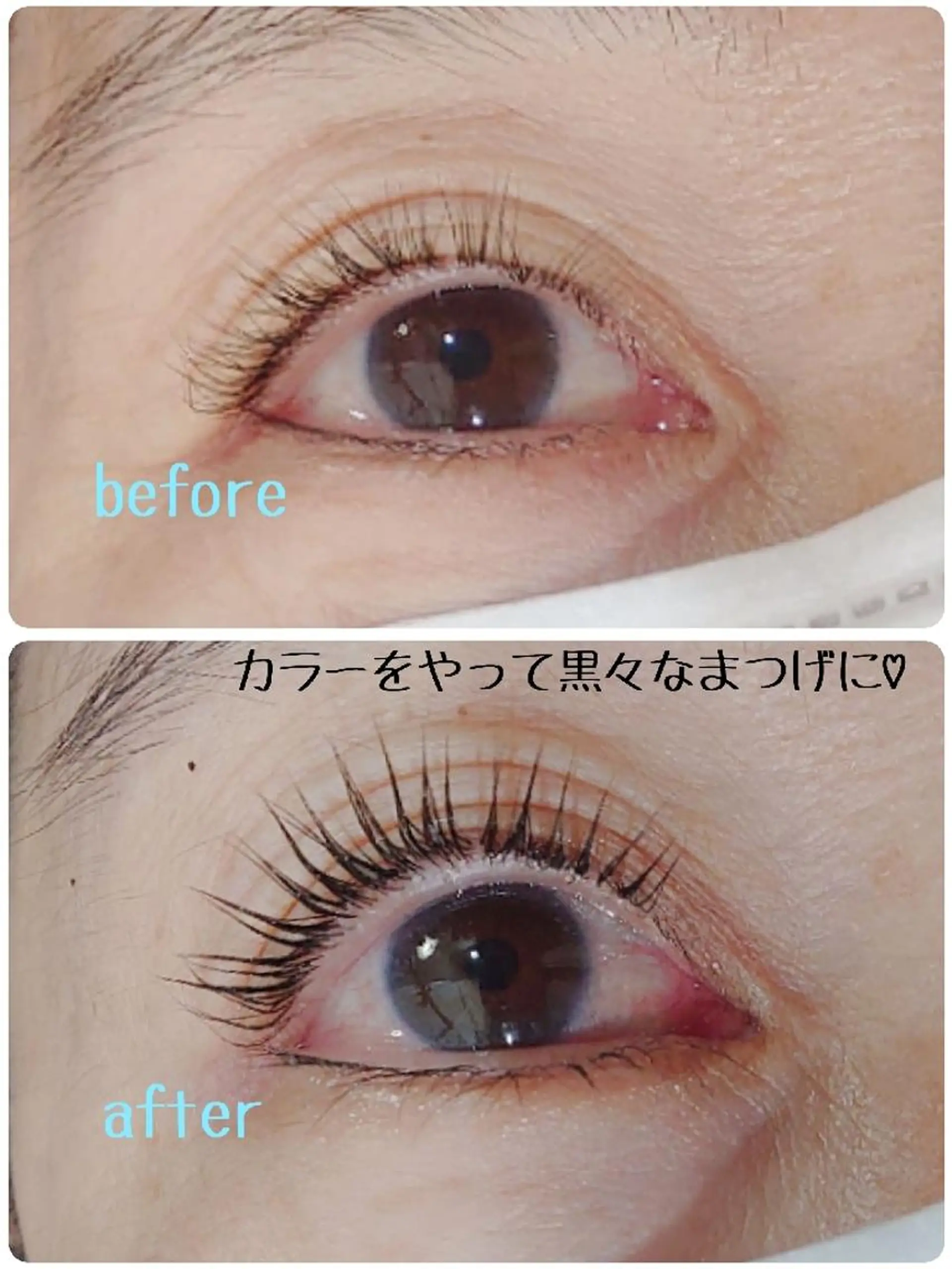 マツエク・マツパ アイリッドアップパーマ Ars      (ｱﾙｽ)のマツエク・マツパデザイン