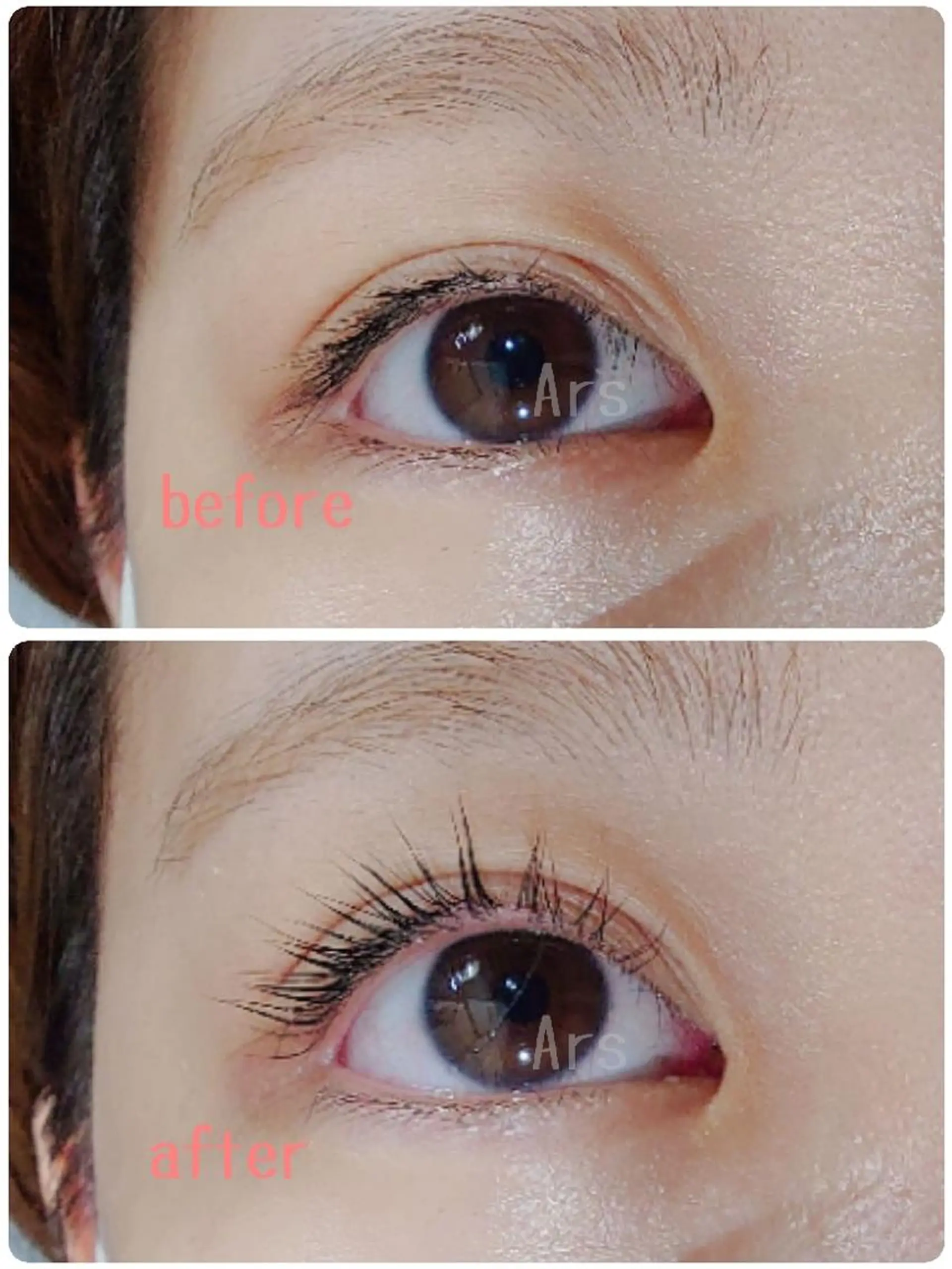 マツエク・マツパ アイリッドアップパーマ Ars      (ｱﾙｽ)のマツエク・マツパデザイン