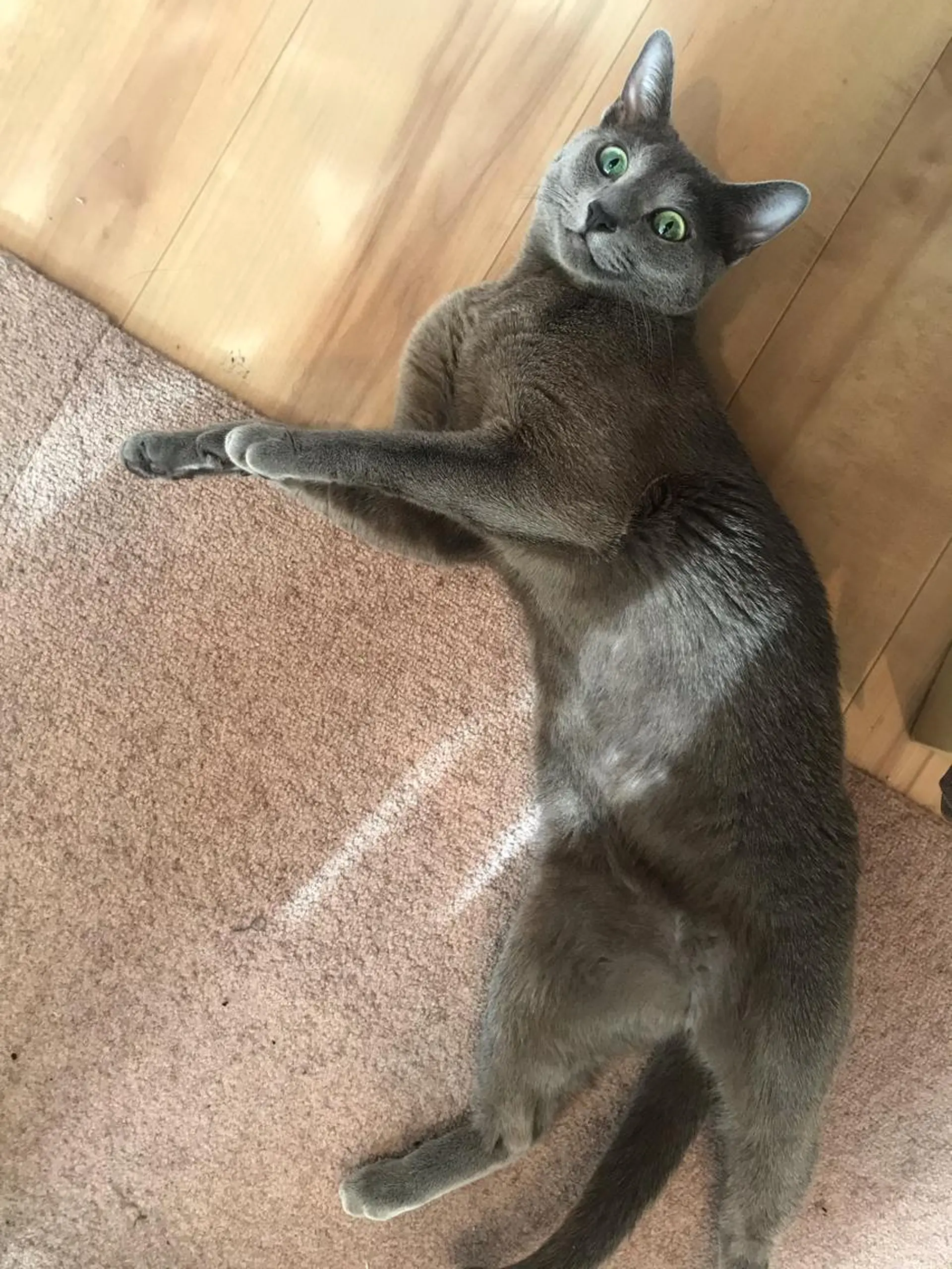 ショート カラー パーマ ヘアアレンジ メンズ キッズ ネイル マツエク・マツパ アニメ,Vオタク× 即効痩せエステサロンのエステ・リラクイメージ