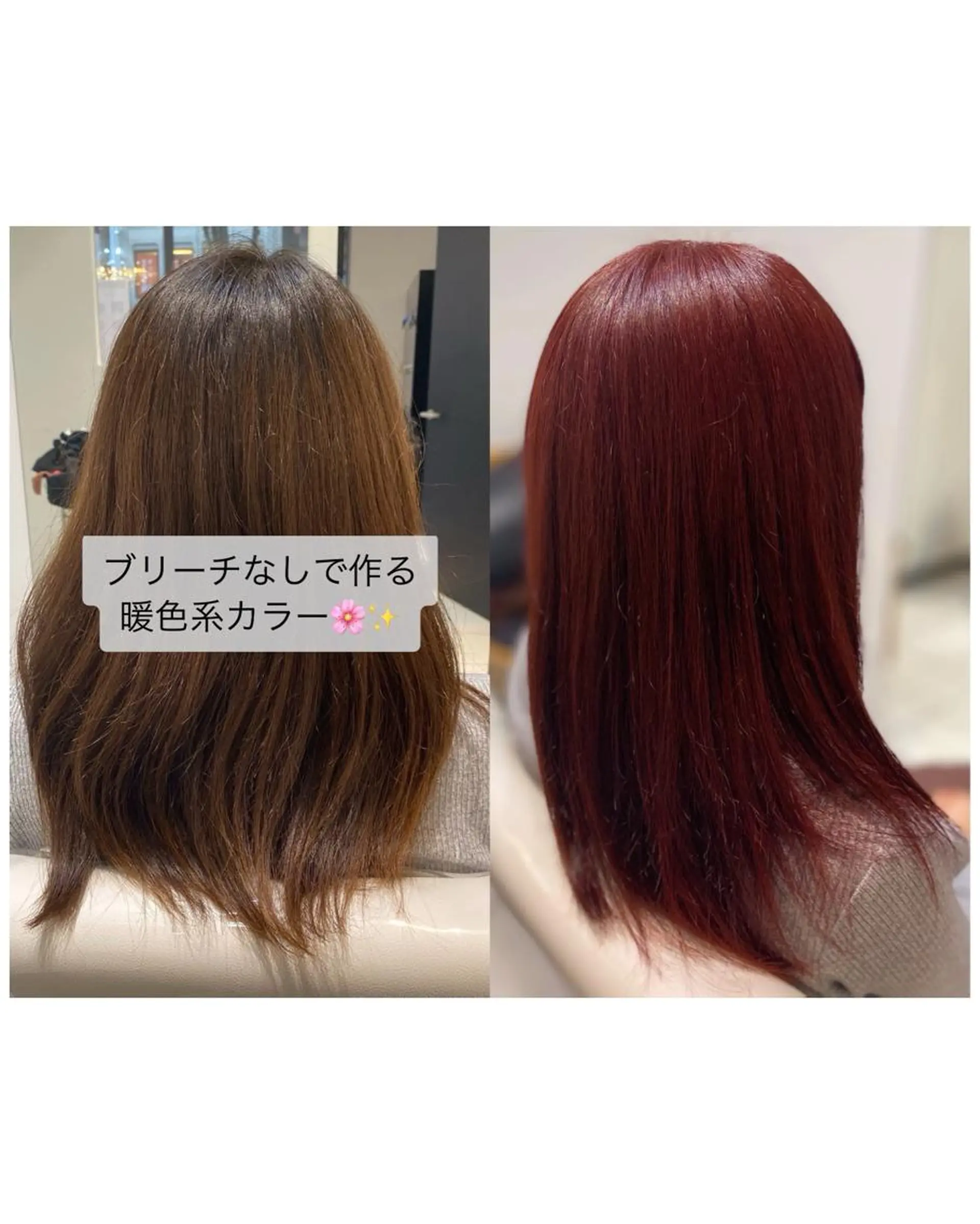 セミロング YASU🍎CUT 赤系カラー/ヘアケアのヘアスタイル