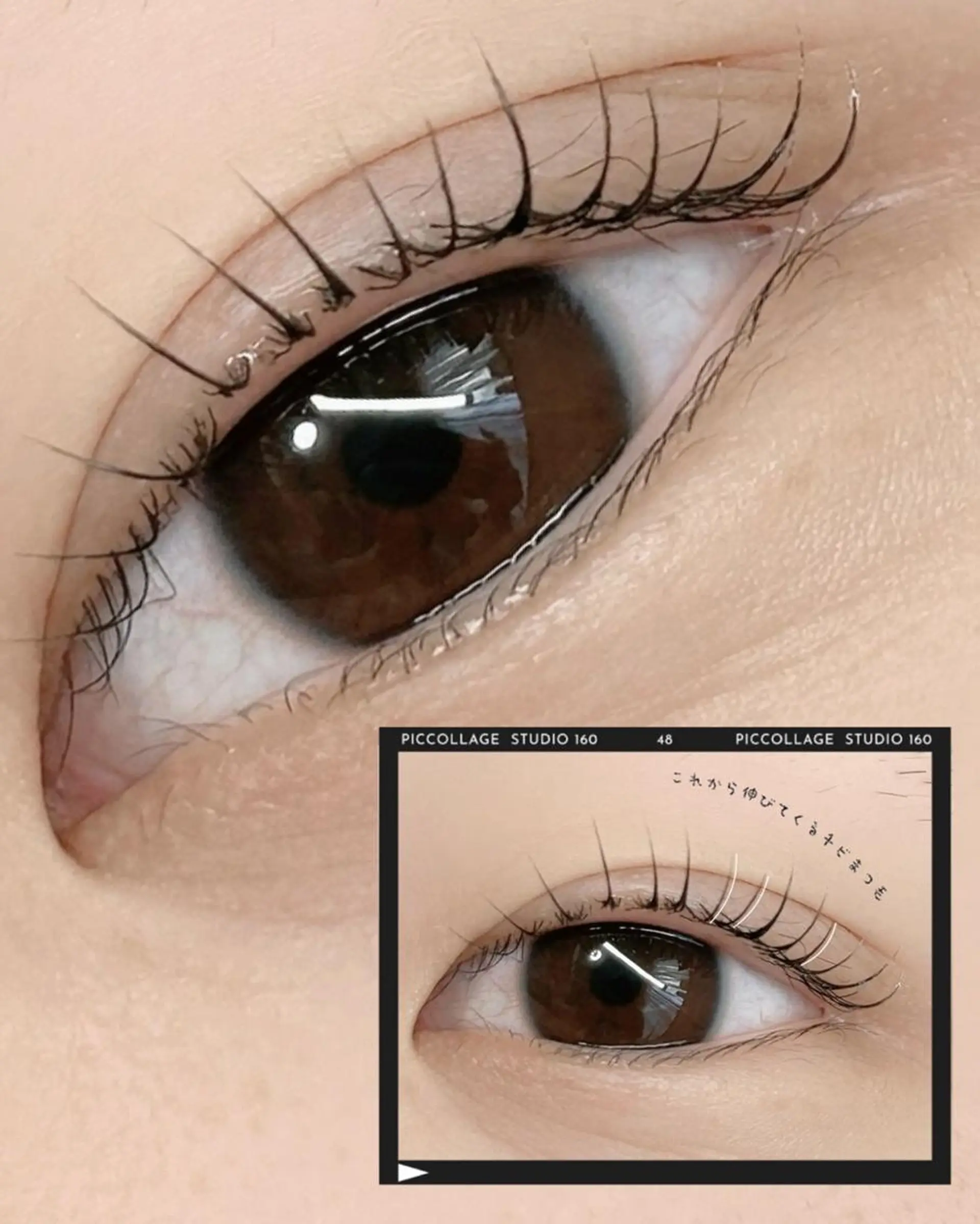 マツエク・マツパ マツパ lieu pré eyelashの眉毛・アイブロウイメージ