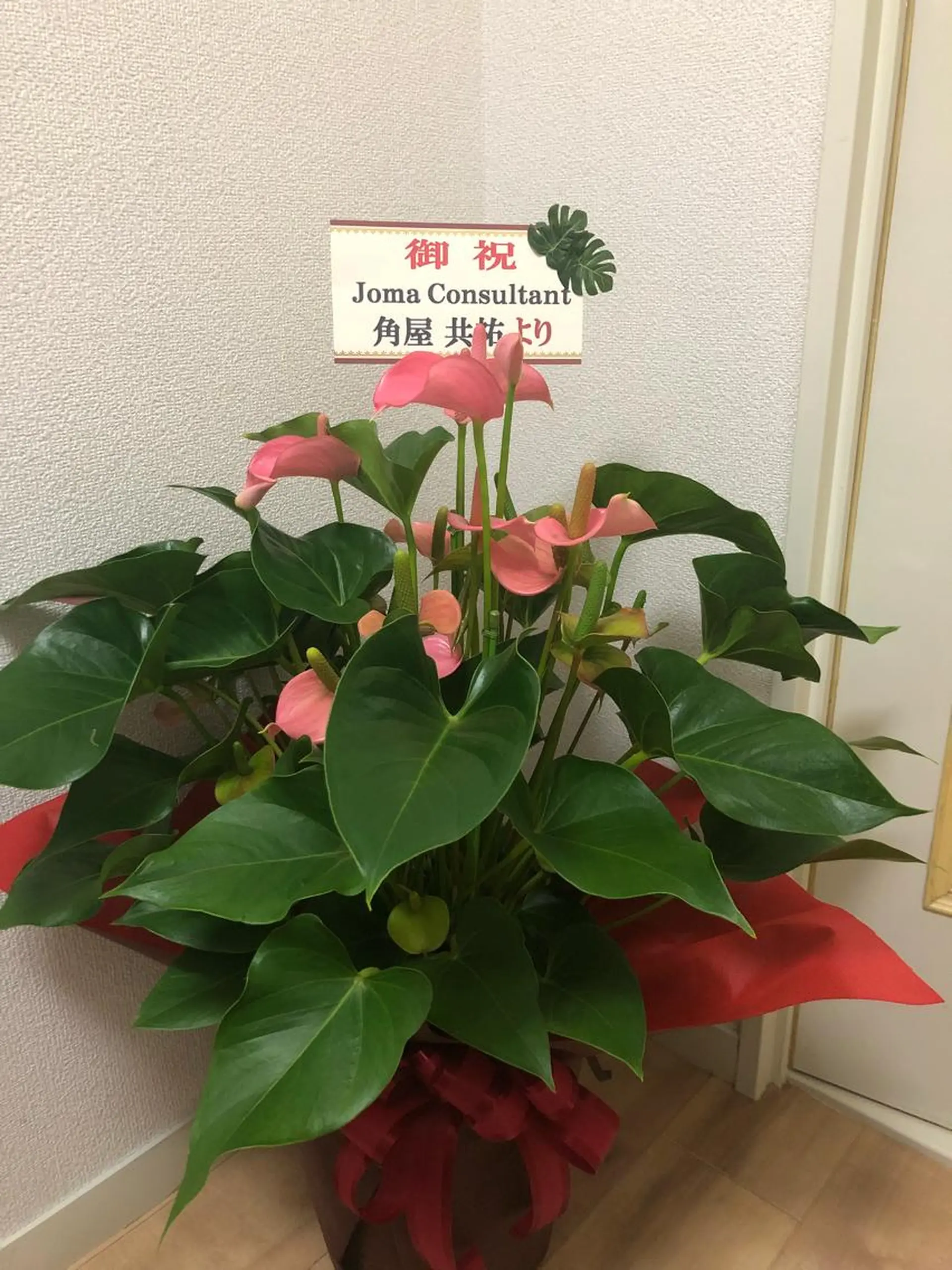 MOARoom所属・毛利 明代のエステ・リラクイメージ