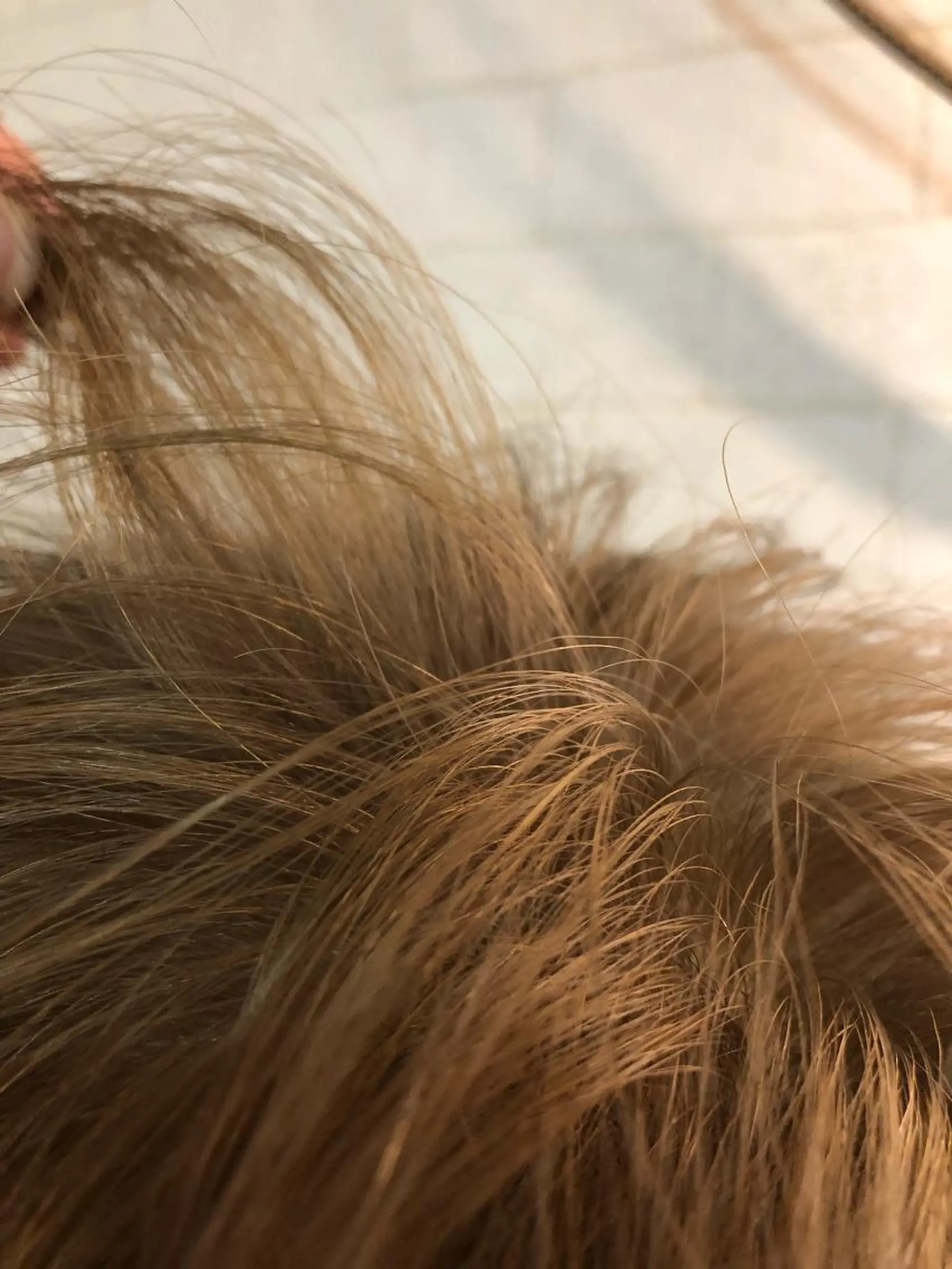 ショート カラー ハイトーンカラー eins.hair所属・過去一の柔髪ヘア 🌿einshairのヘアスタイル