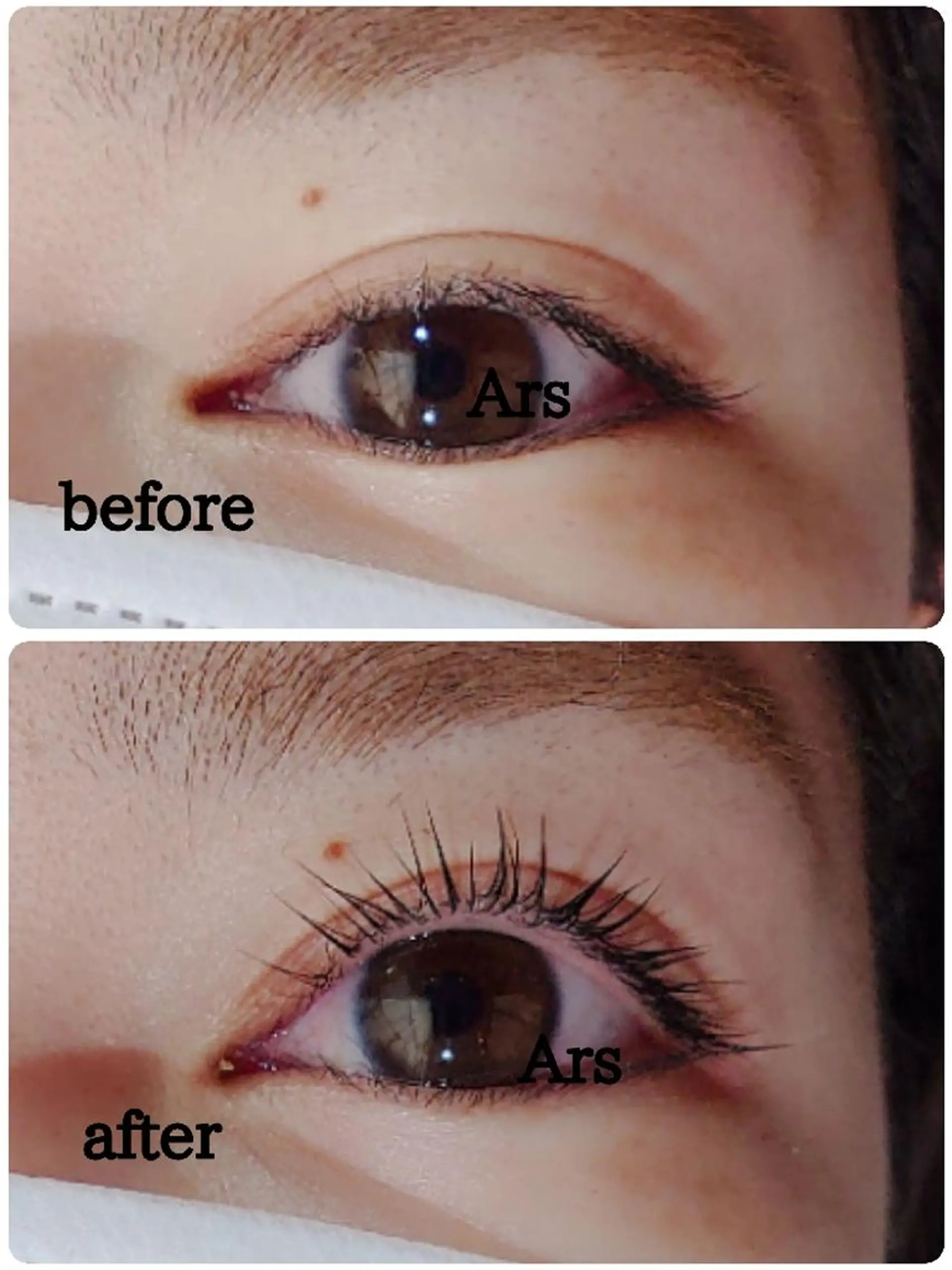 マツエク・マツパ アイリッドアップパーマ Ars      (ｱﾙｽ)のマツエク・マツパデザイン