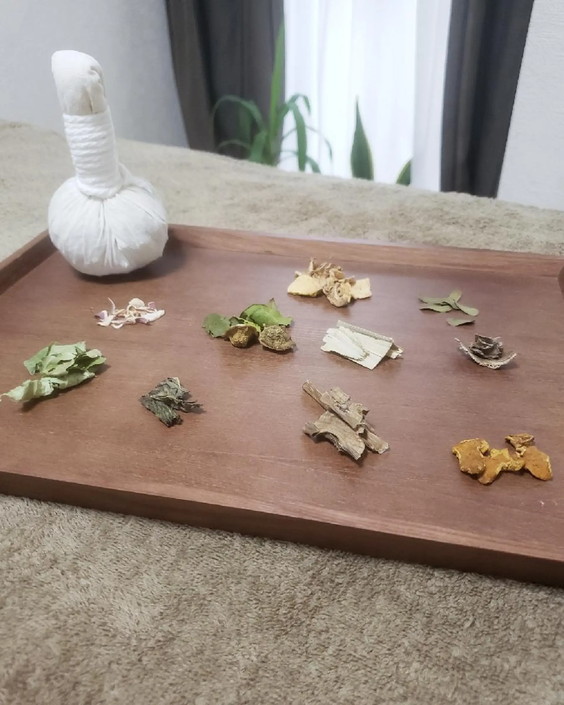 リラクゼーション 森の中の木の実のエステ・リラクイメージ