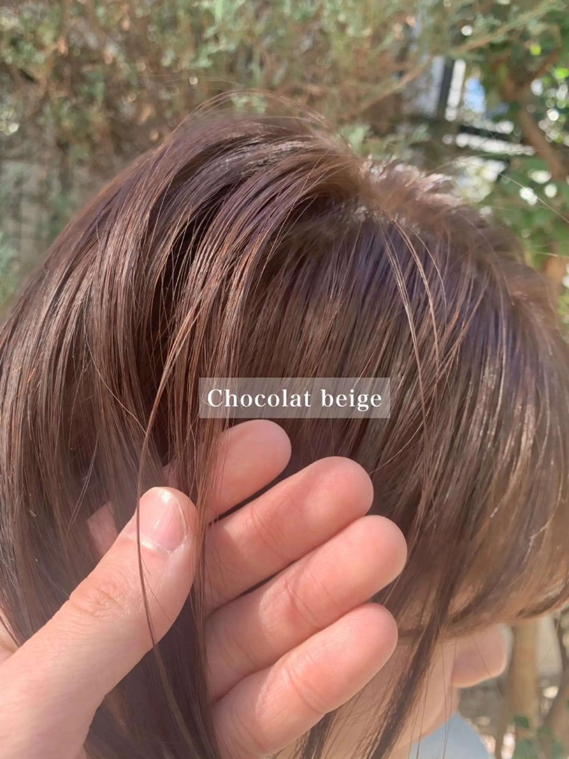 ショート カット ヘアカラー トリートメント 山本 晶大のヘアスタイル