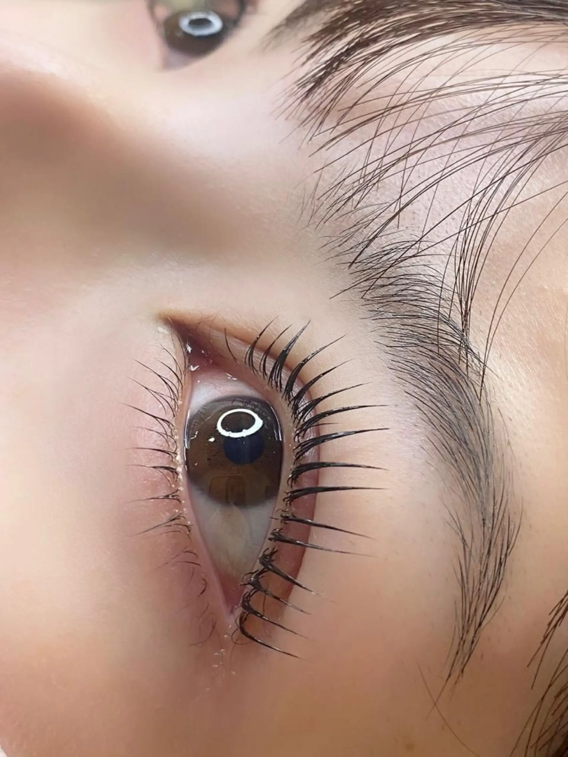 マツエク・マツパ アイブロウ gran eyelash👀のマツエク・マツパデザイン