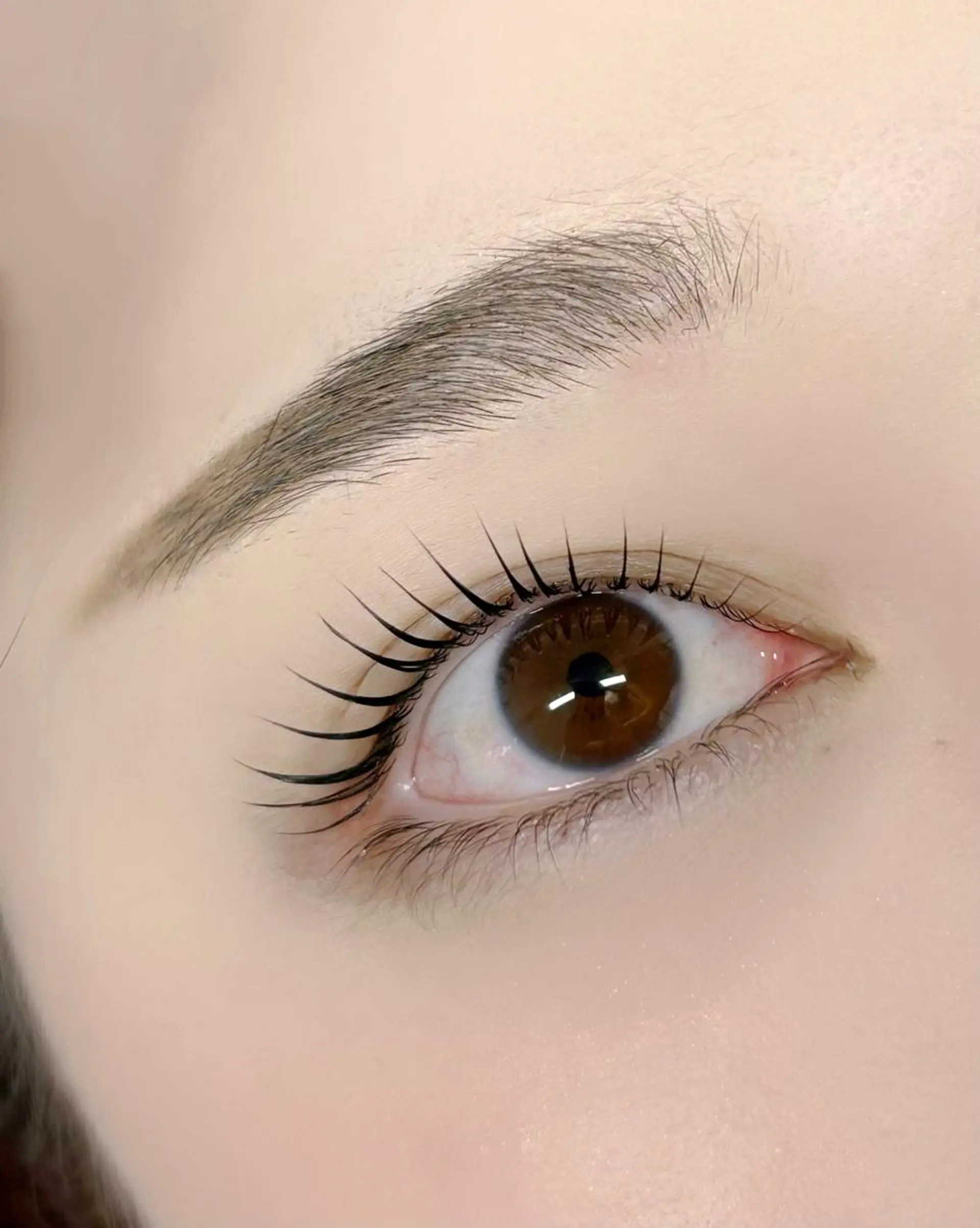 マツエク・マツパ マツパ lieu pré eyelashの眉毛・アイブロウイメージ