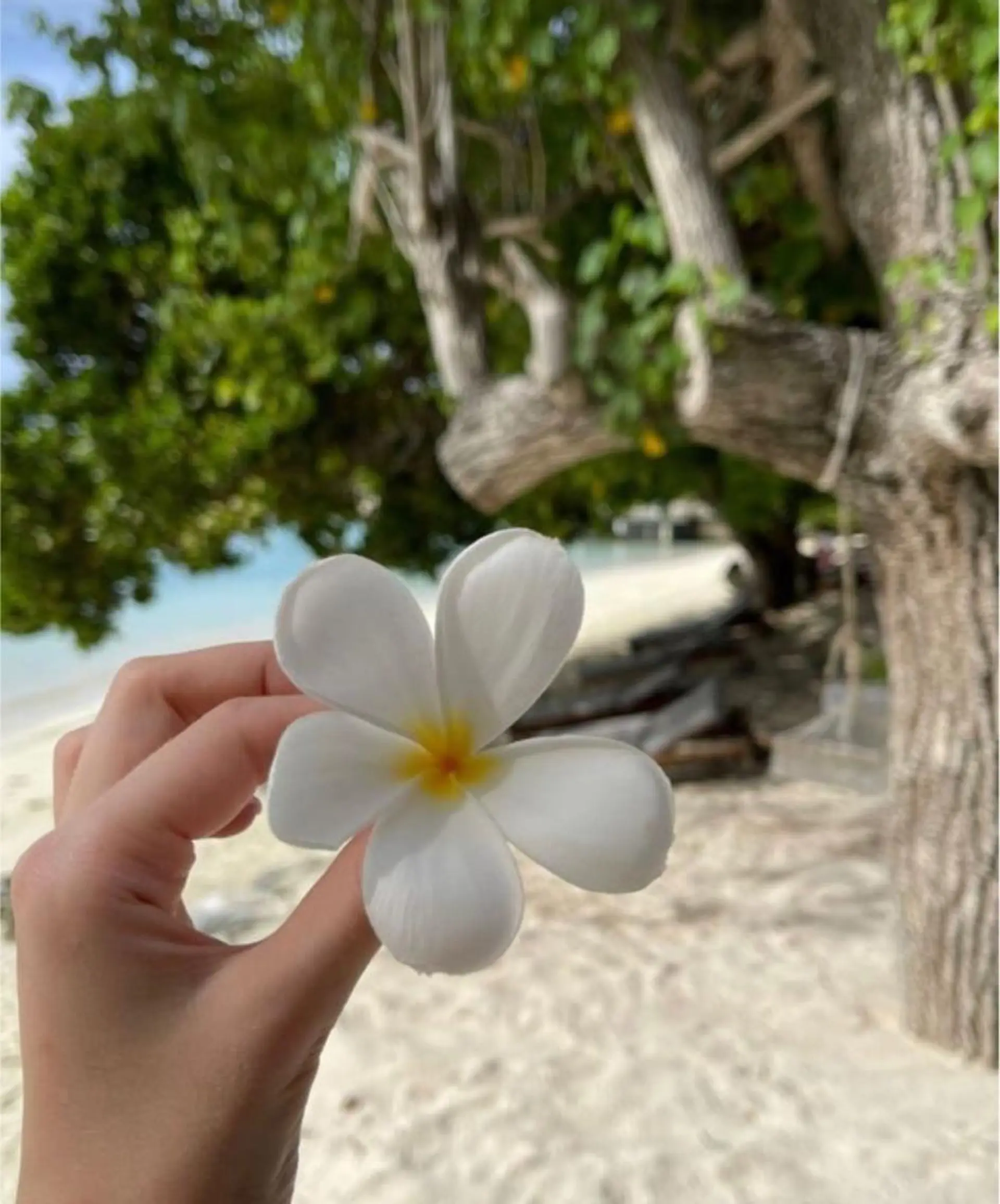 🫧縮毛矯正／カラー ／bless松浦🫧のヘアスタイル