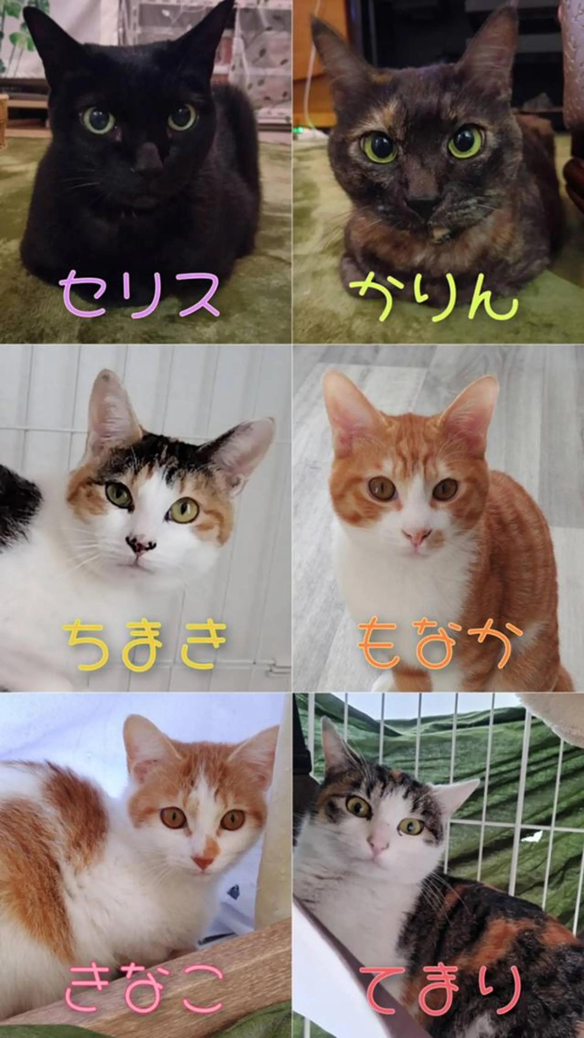 BARON オーナーセラピストのエステ・リラクイメージ