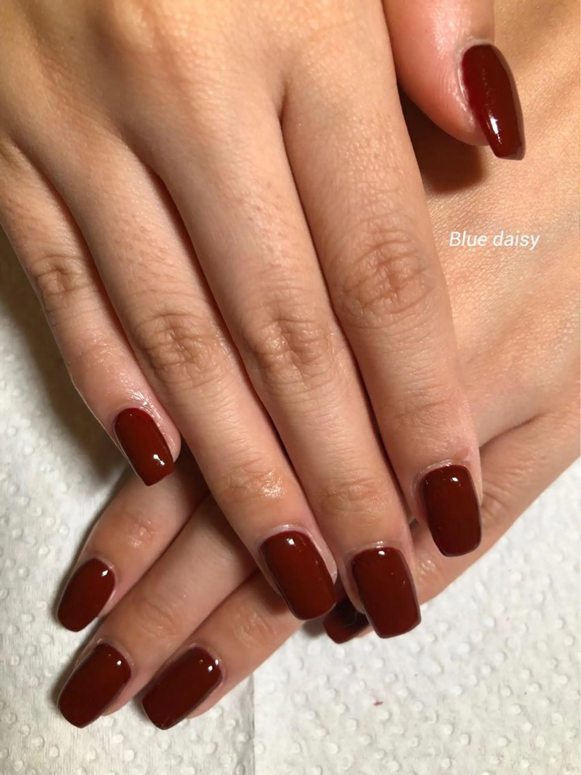 ネイル ボルドー Blue daisy 栄本店のネイルデザイン