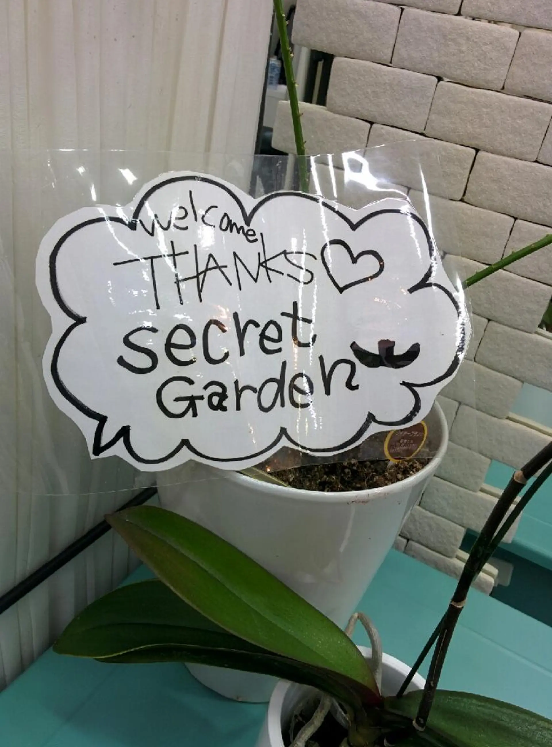 まつエク SG アイラッシュ ラッシュリフト🌟のその他イメージ