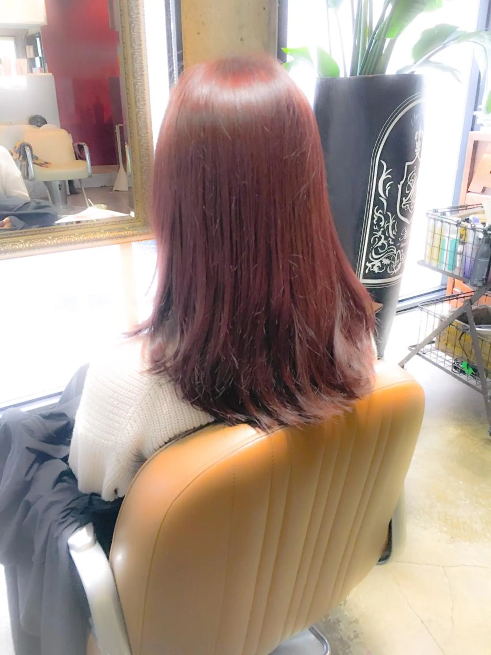 セミロング カラー ボルドーカラー ピンクカラー 北條 優輝のヘアスタイル