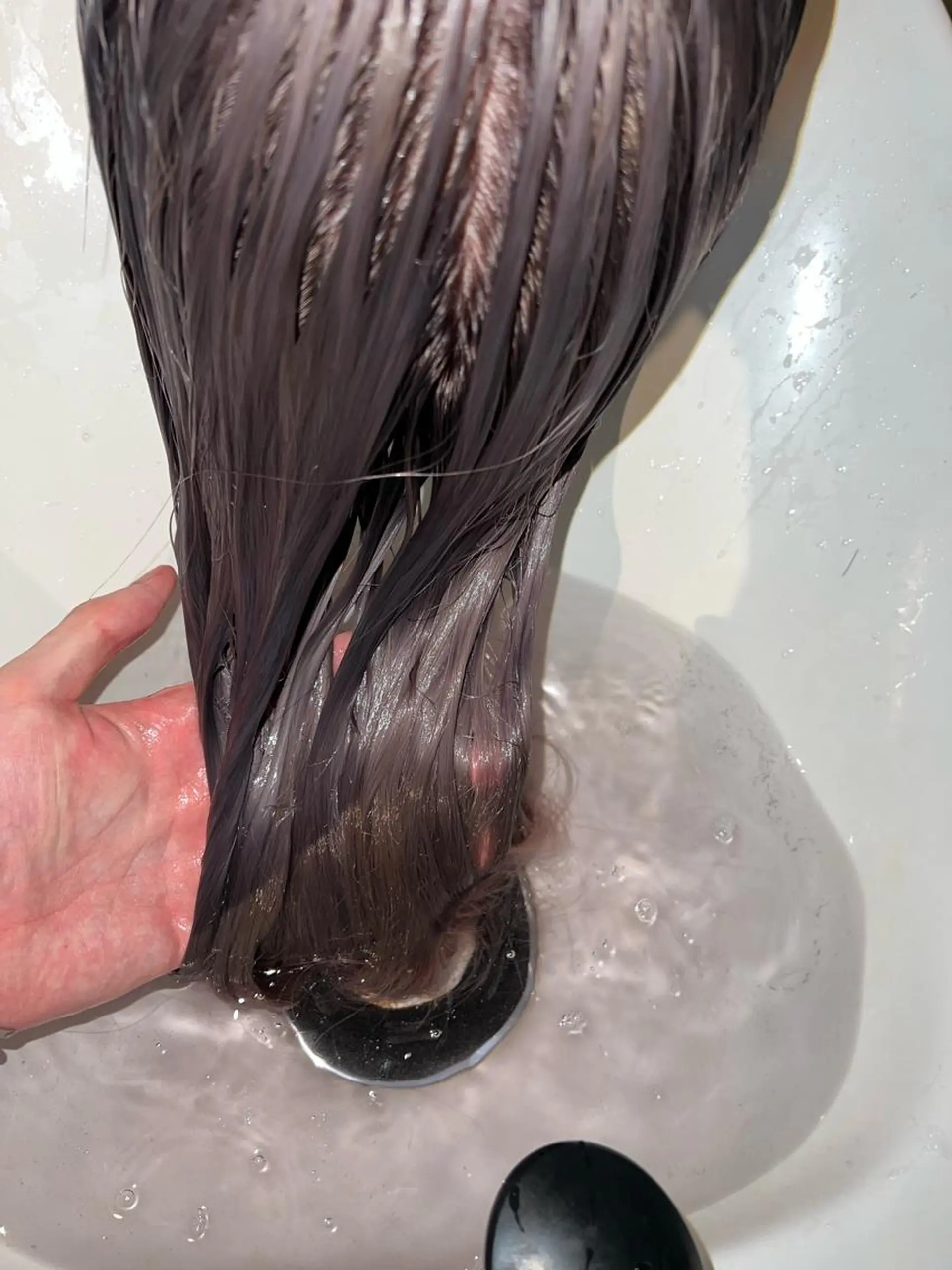 セミロング カラー 小笠原 悠斗のヘアスタイル