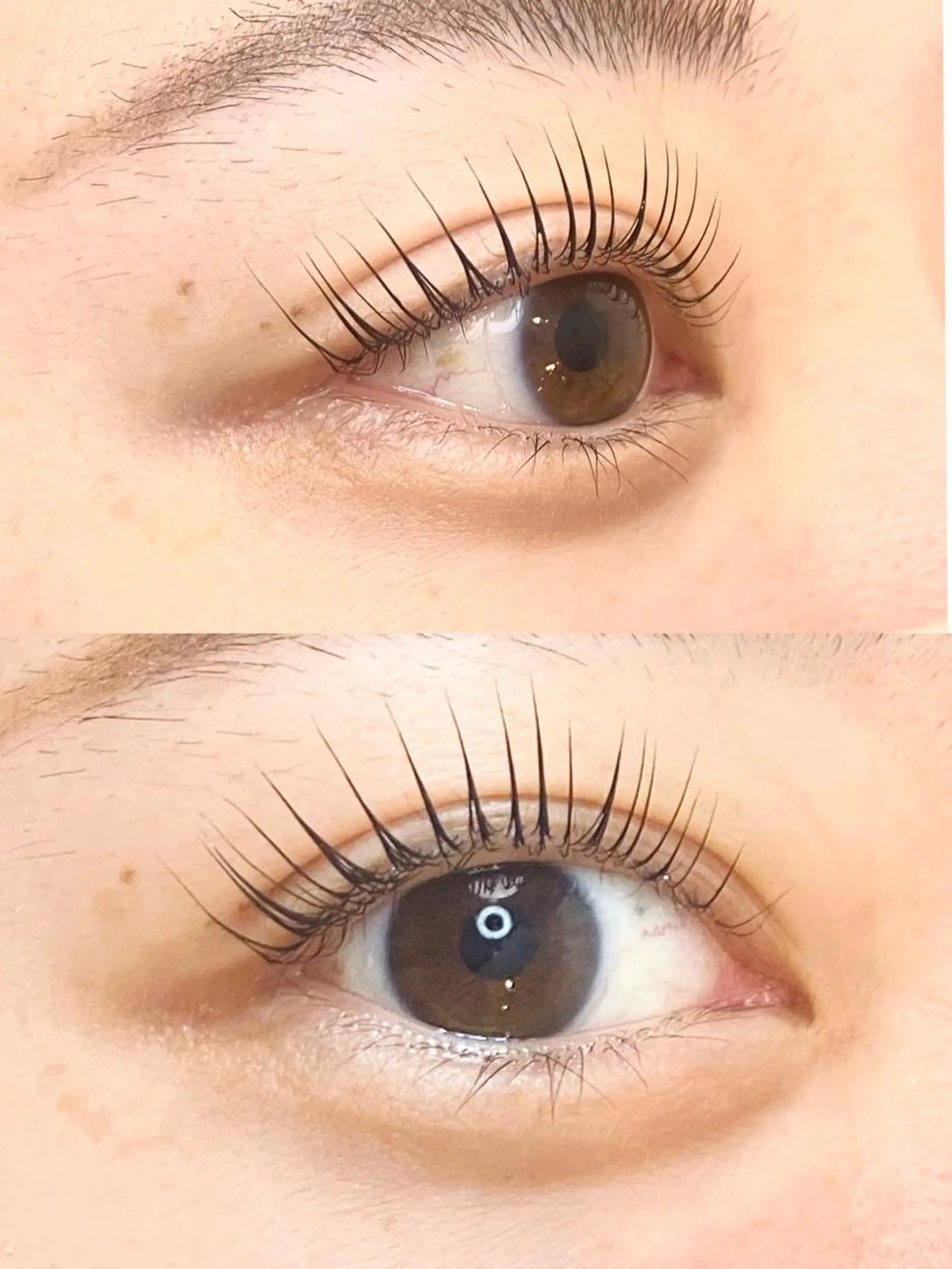 マツエク・マツパ マツパ Chisato🤍池 袋/マツパ/マツエクのマツエク・マツパデザイン