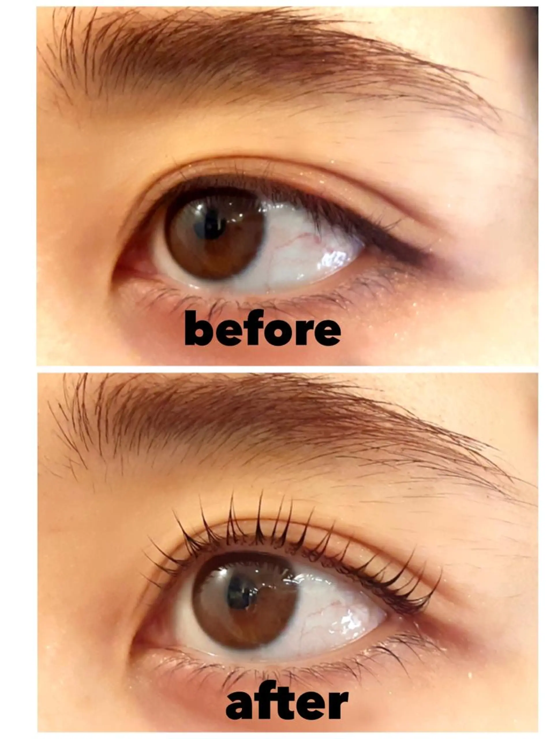 マツエク・マツパ パリジェンヌラッシュリフト マツパ yuumi .のマツエク・マツパデザイン