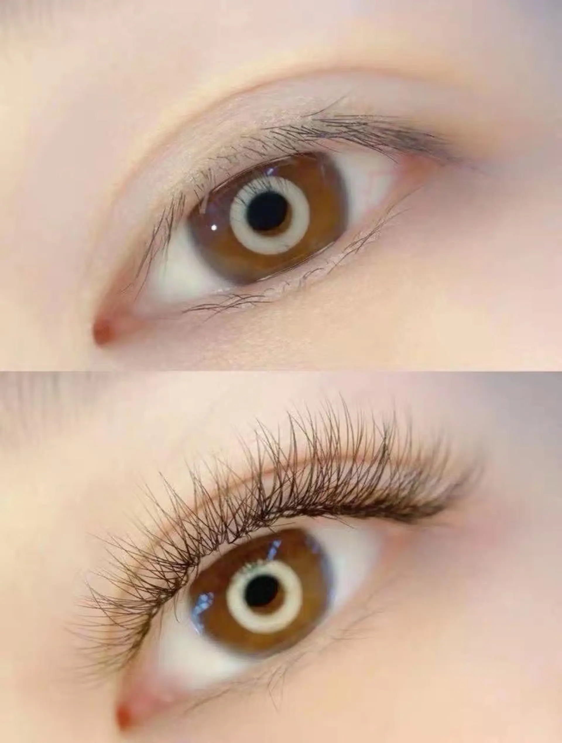 マツエク・マツパ Cute B e au t yのマツエク・マツパデザイン