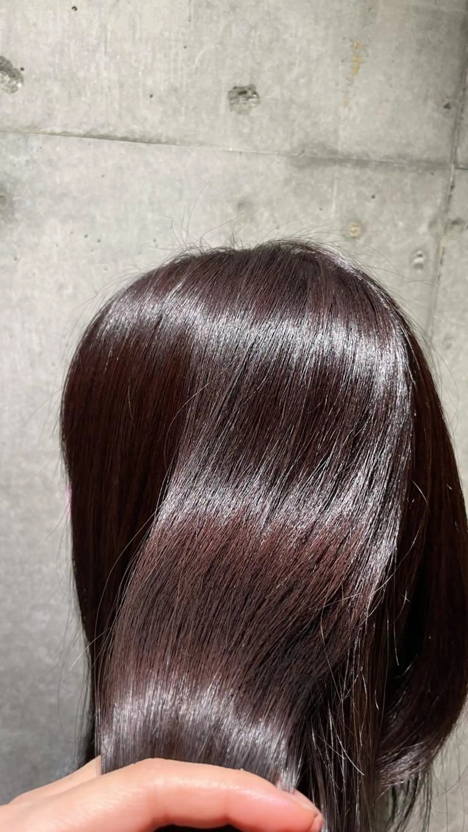 ミディアム カラー ピンクカラー ピンクパープル パープルカラー 大 場のヘアスタイル