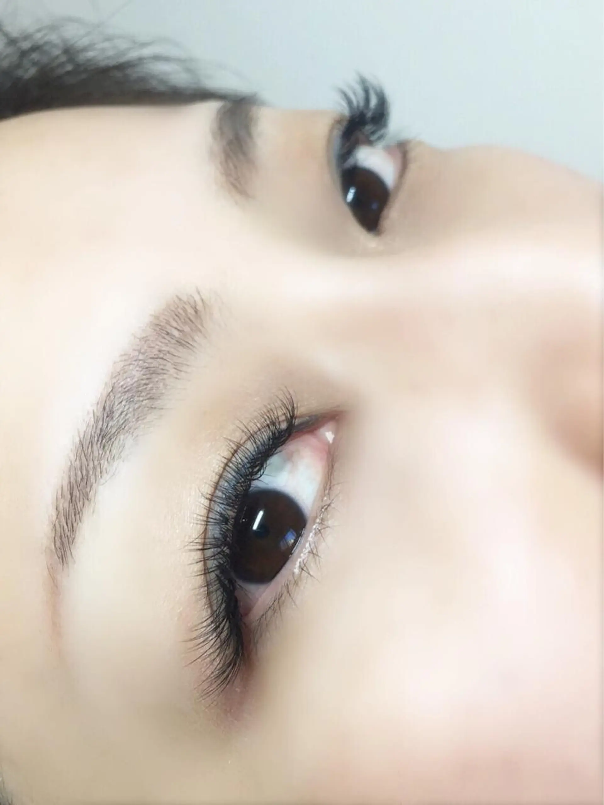 マツエク・マツパ eyelash- r🌹の眉毛・アイブロウイメージ