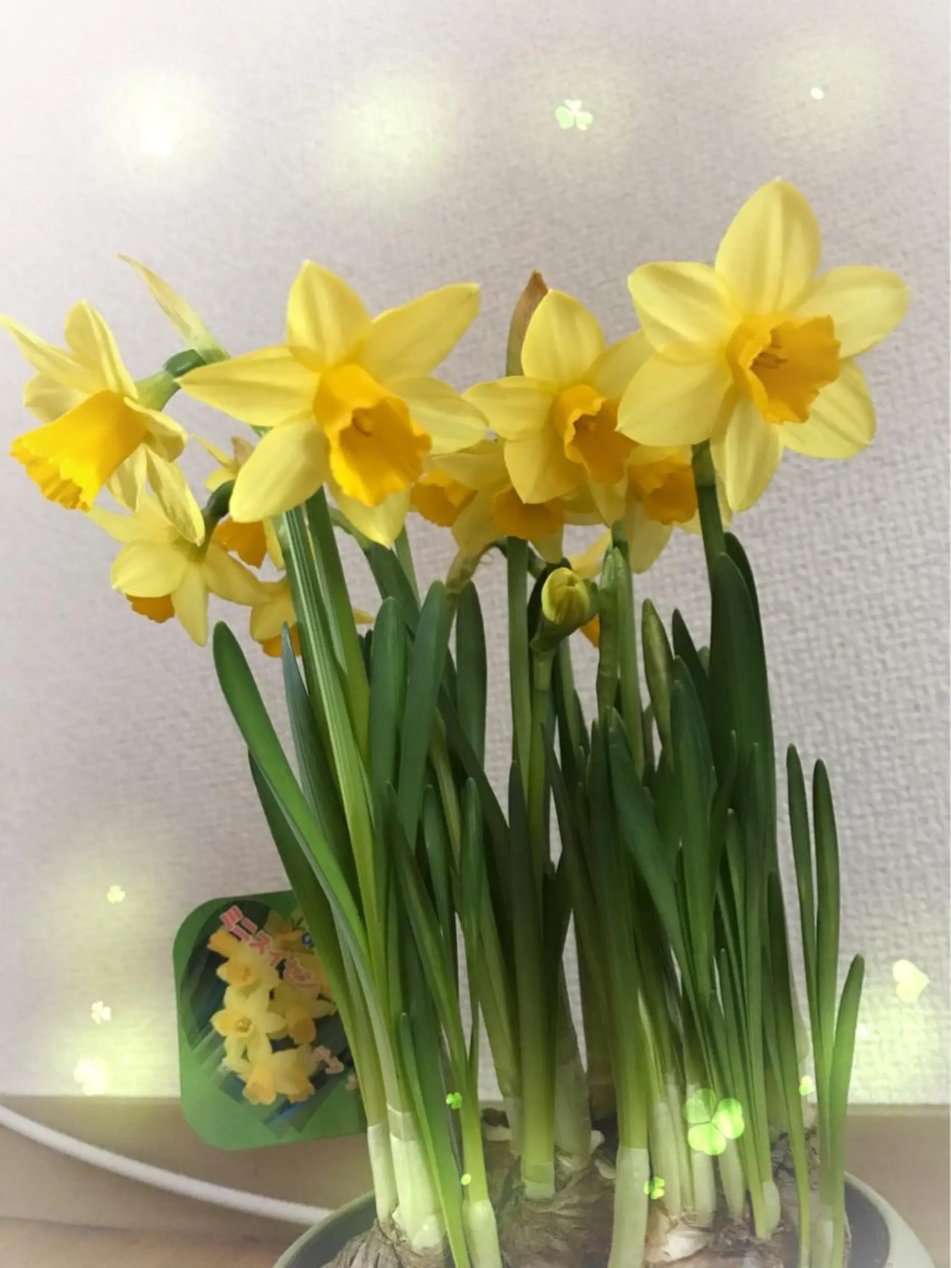 岩井 秋子のエステ・リラクイメージ