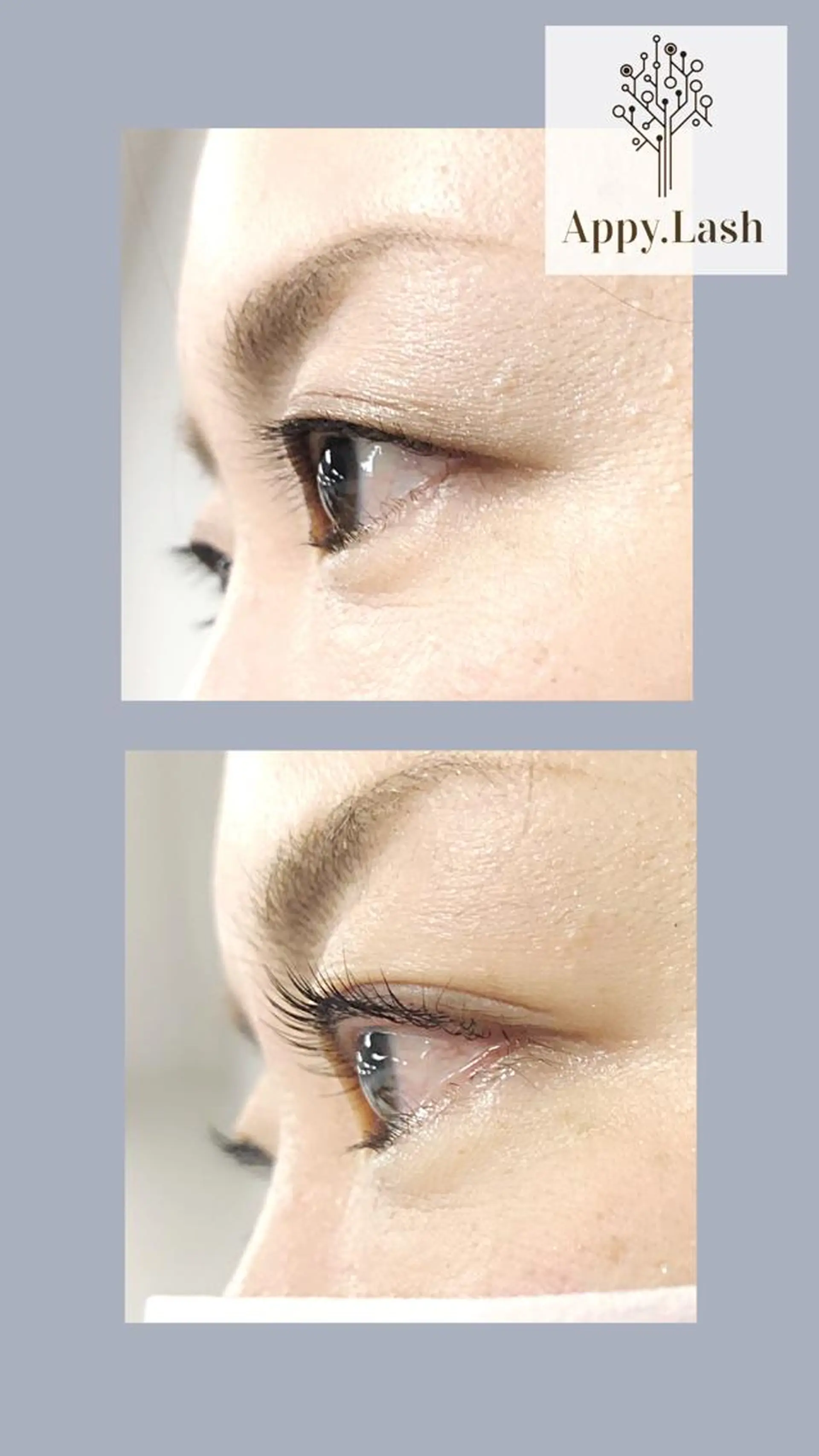 マツエク・マツパ まつげと眉の専門店 Appy.Lashのマツエク・マツパデザイン