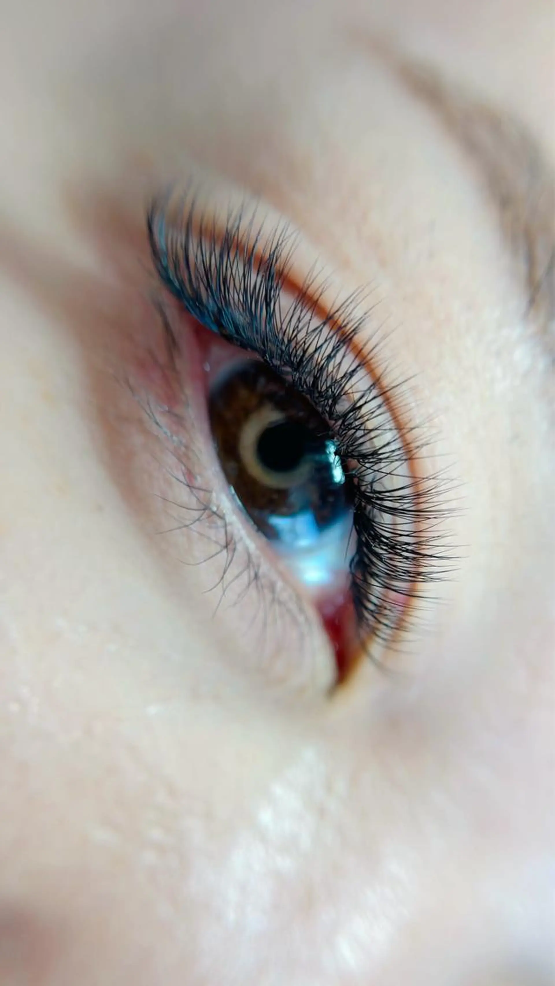 マツエク・マツパ 付け放題 ボリュームラッシュ JAM新大宮 eyelashのマツエク・マツパデザイン