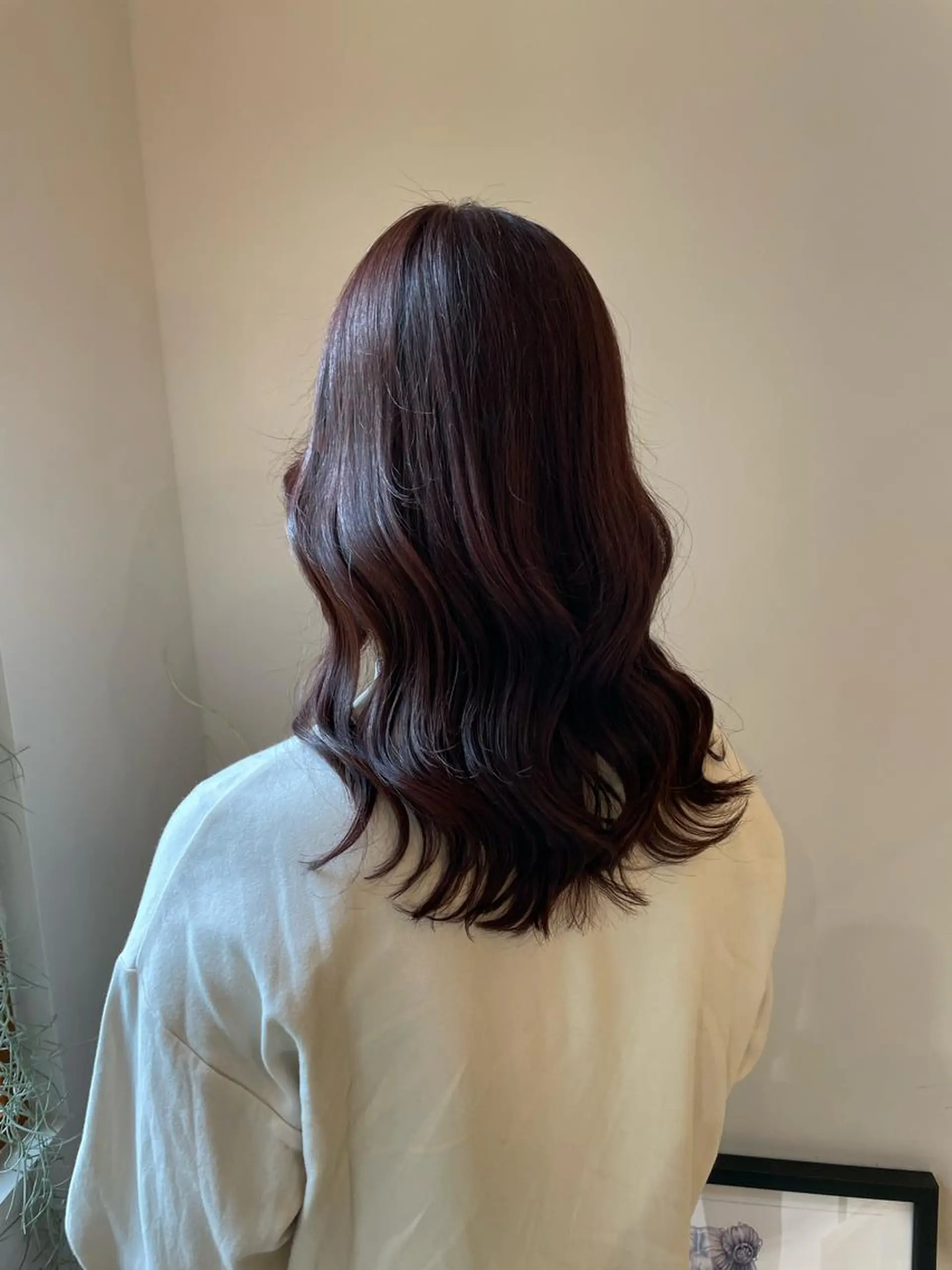 セミロング カラー 林 慧悟のヘアスタイル