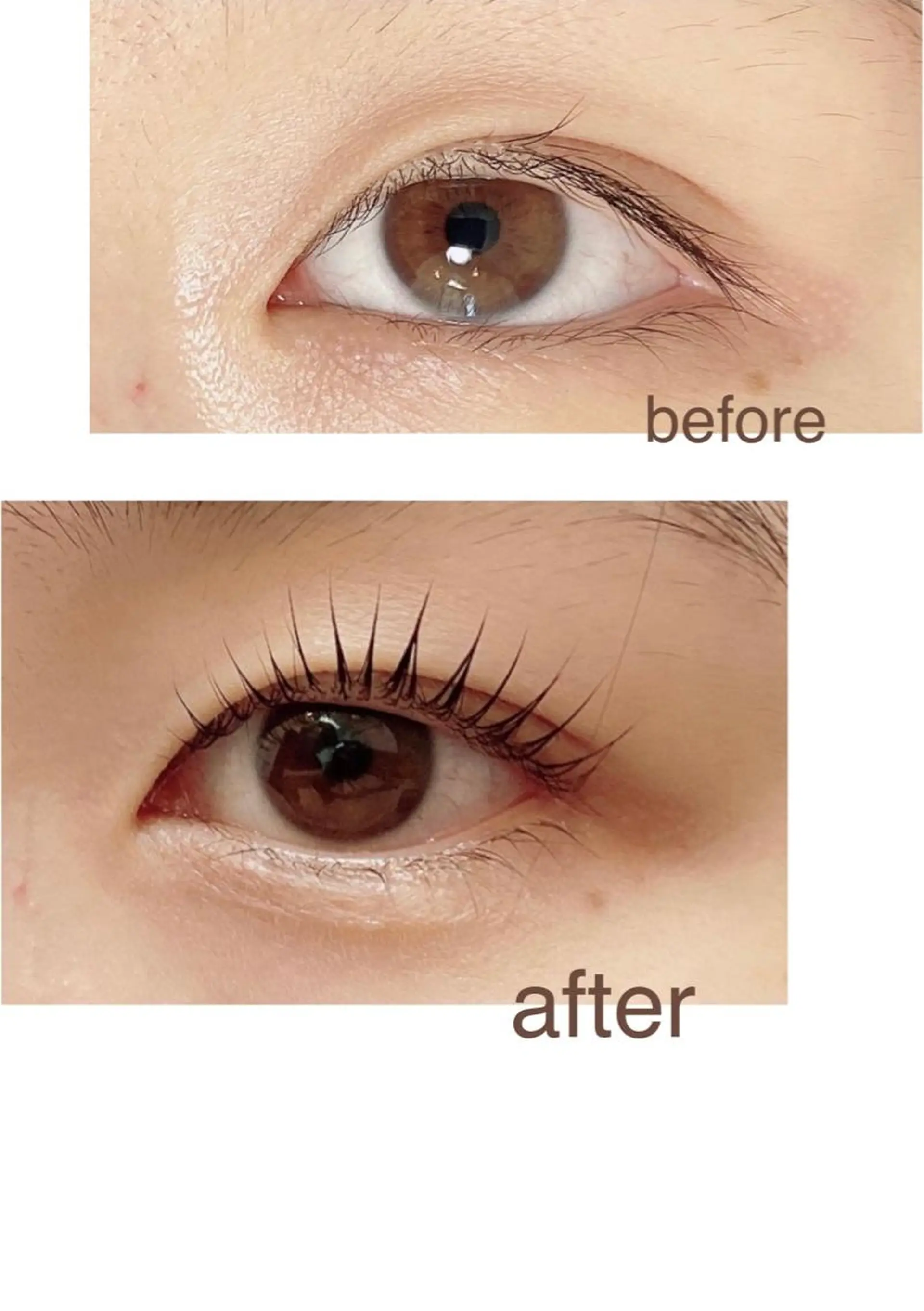 マツエク・マツパ LED＋550円☆ Omueyelashのマツエク・マツパデザイン