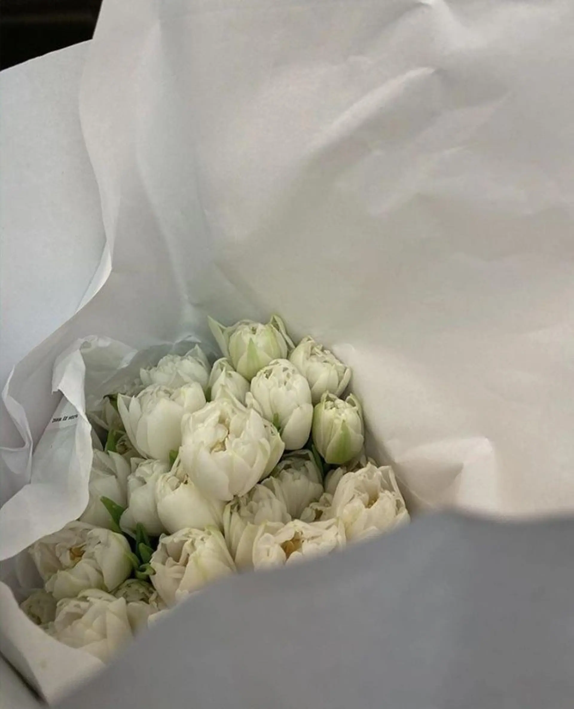 マツエク・マツパ MOE /渋谷・明治神宮前のマツエク・マツパデザイン