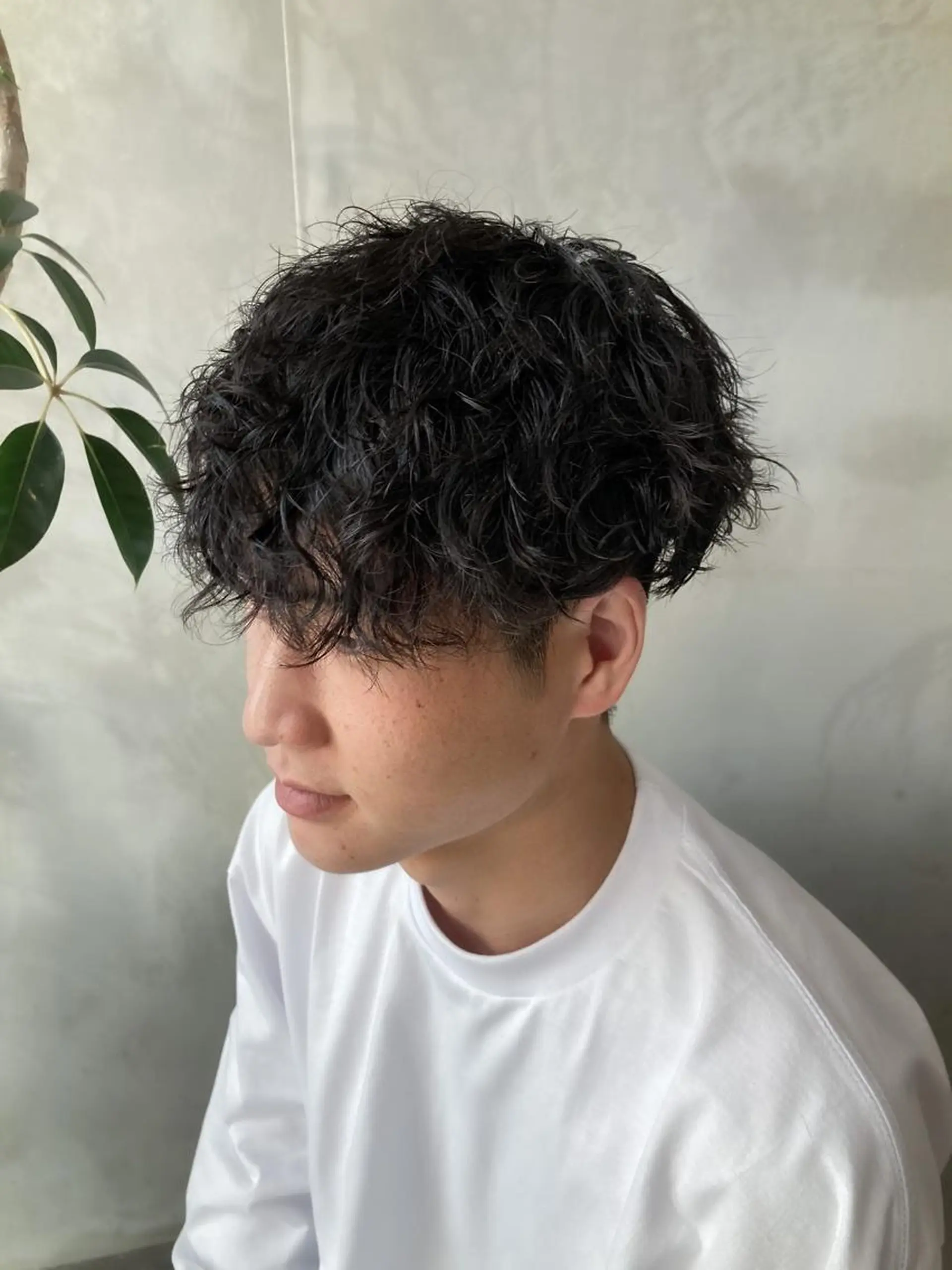 ショート パーマ メンズ マッシュ 波巻きスパイラルパー マ/シャドウパーマ駿のヘアスタイル