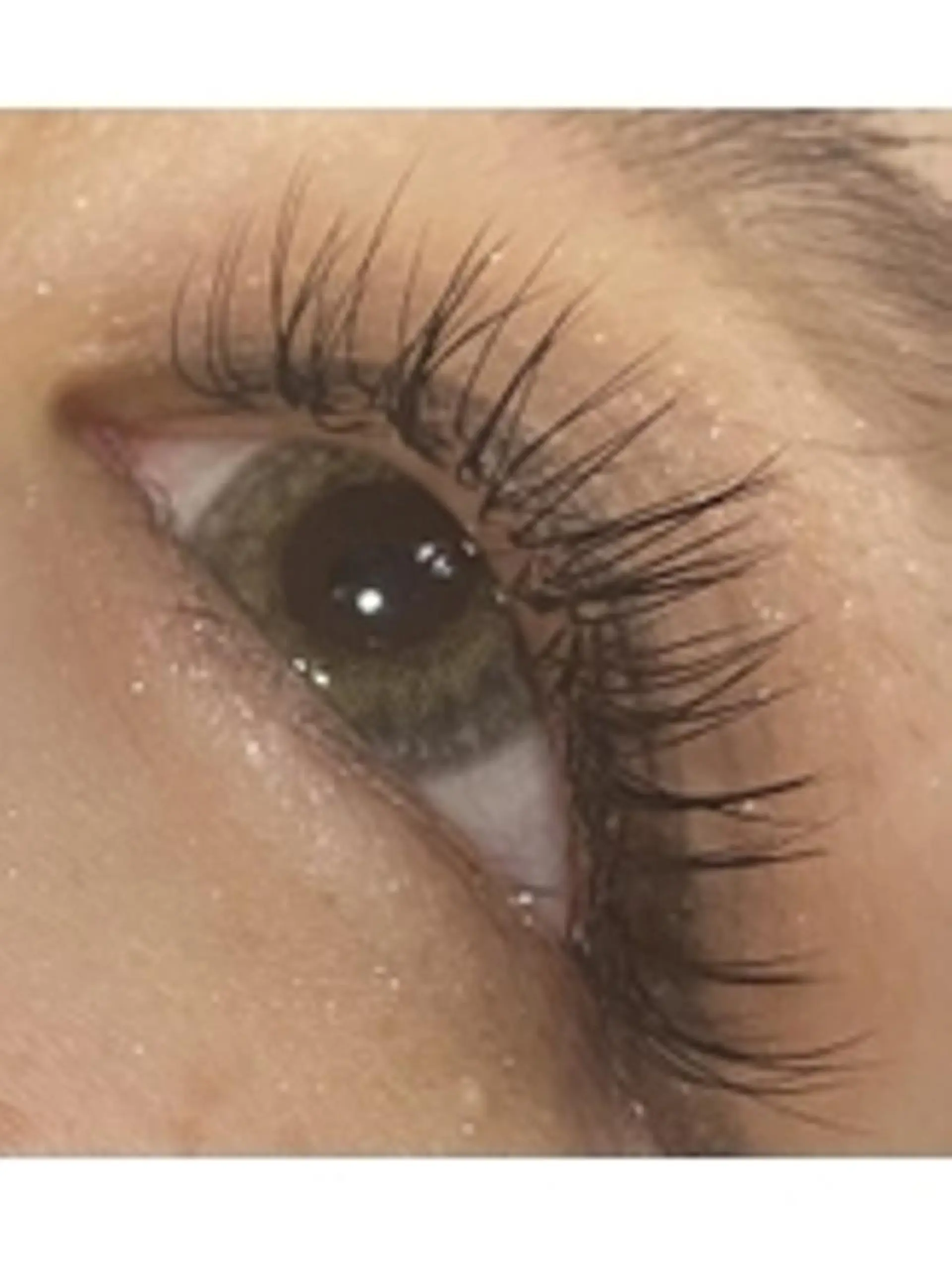 マツエク・マツパ Cカール ナチュラル セーブル ナオエ ハルカのマツエク・マツパデザイン