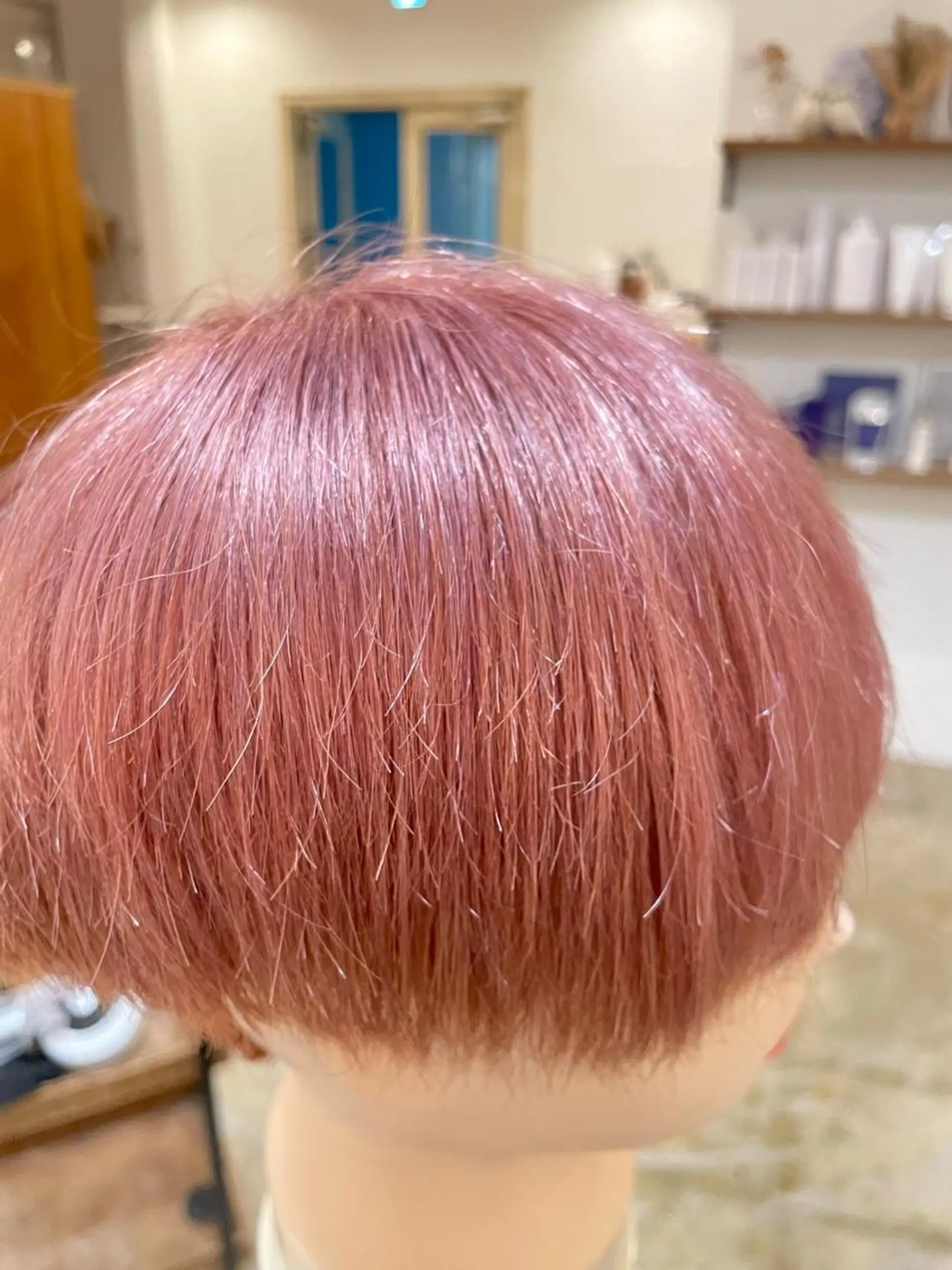 ショート カラー ピンクカラー 🦋高岡 ゆうが🦋のヘアスタイル