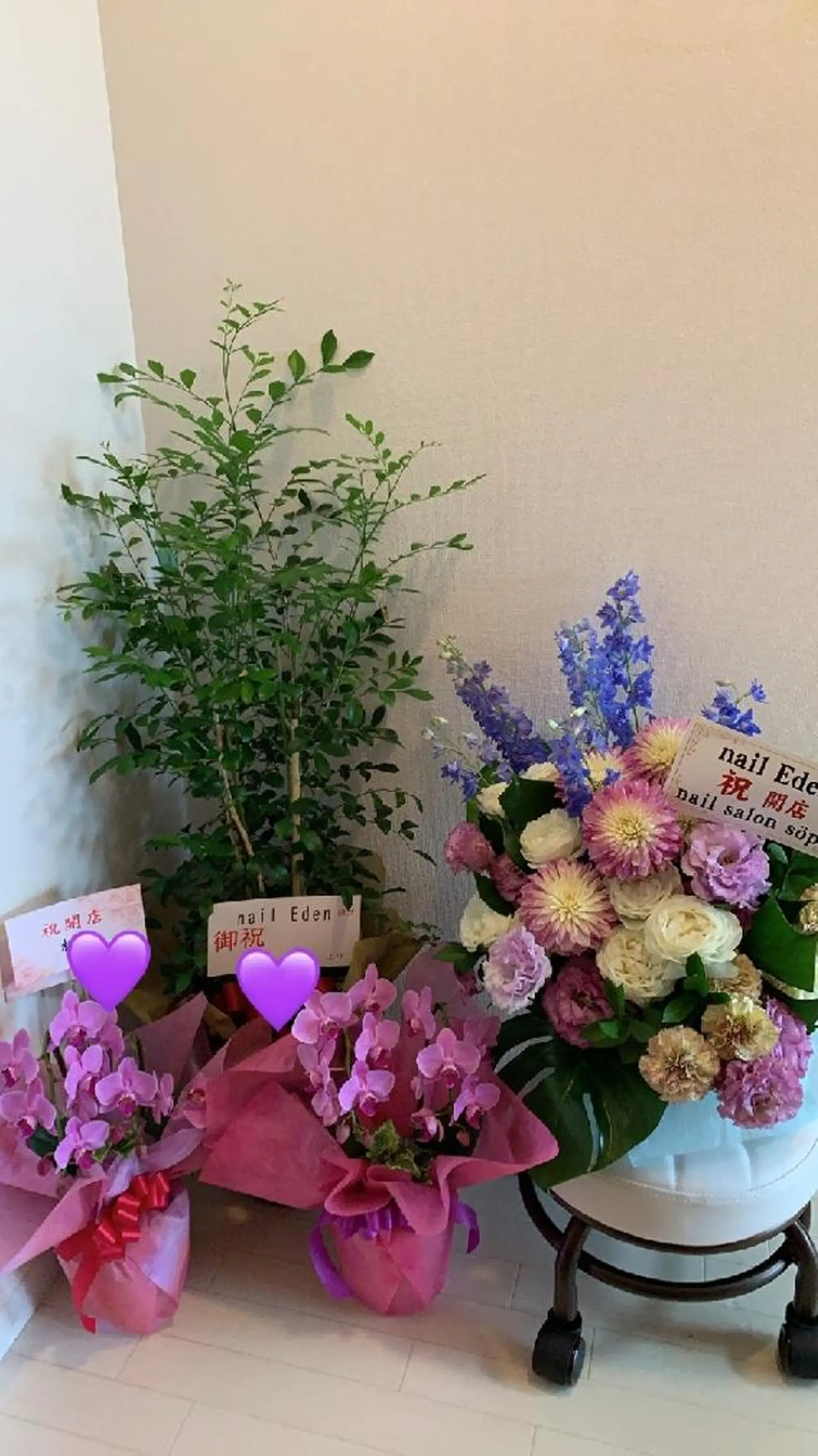 ネイル ワンカラーネイル Eden ♾️のネイルデザイン