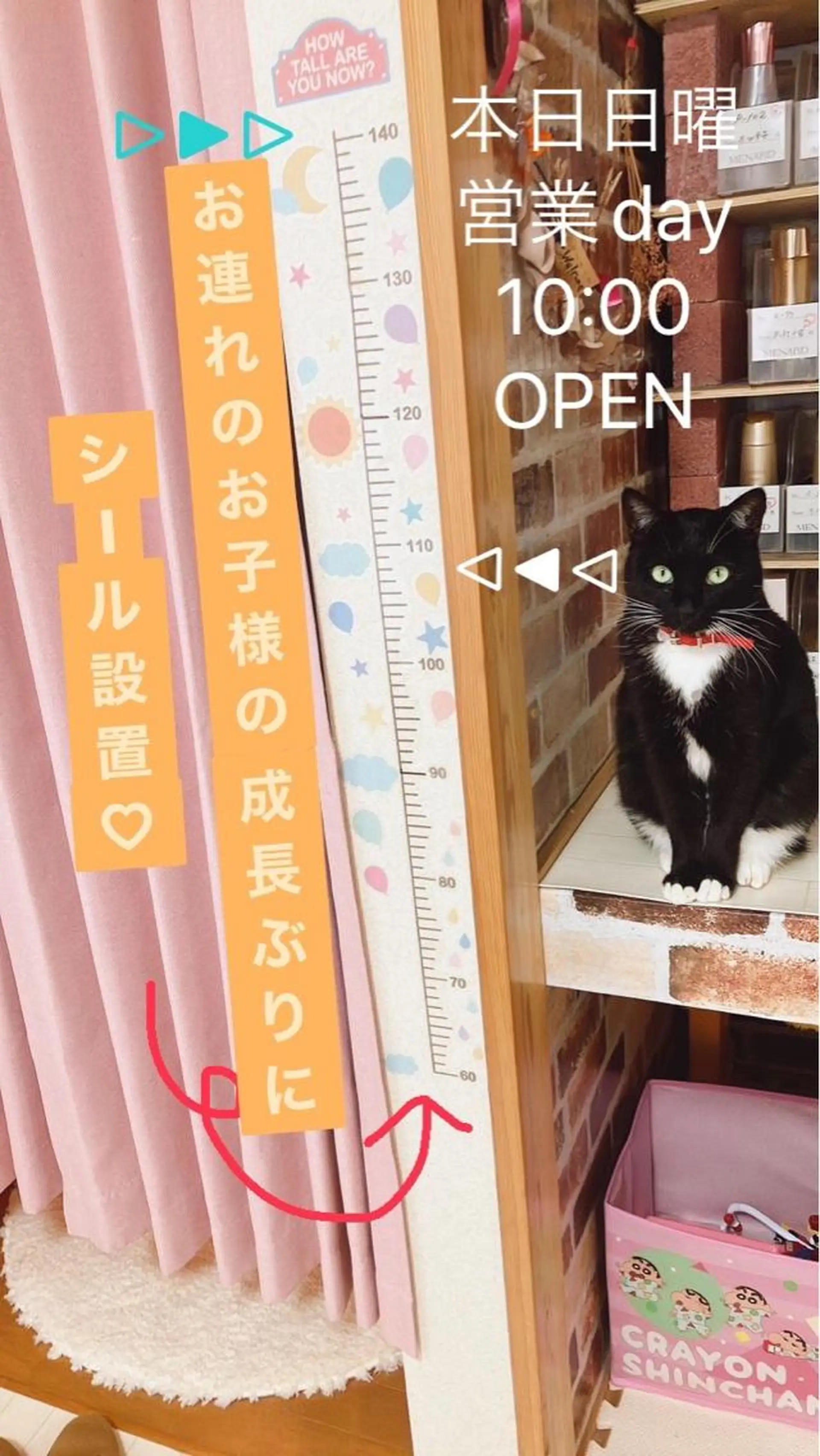 メナード熊本 嘉島のその他イメージ