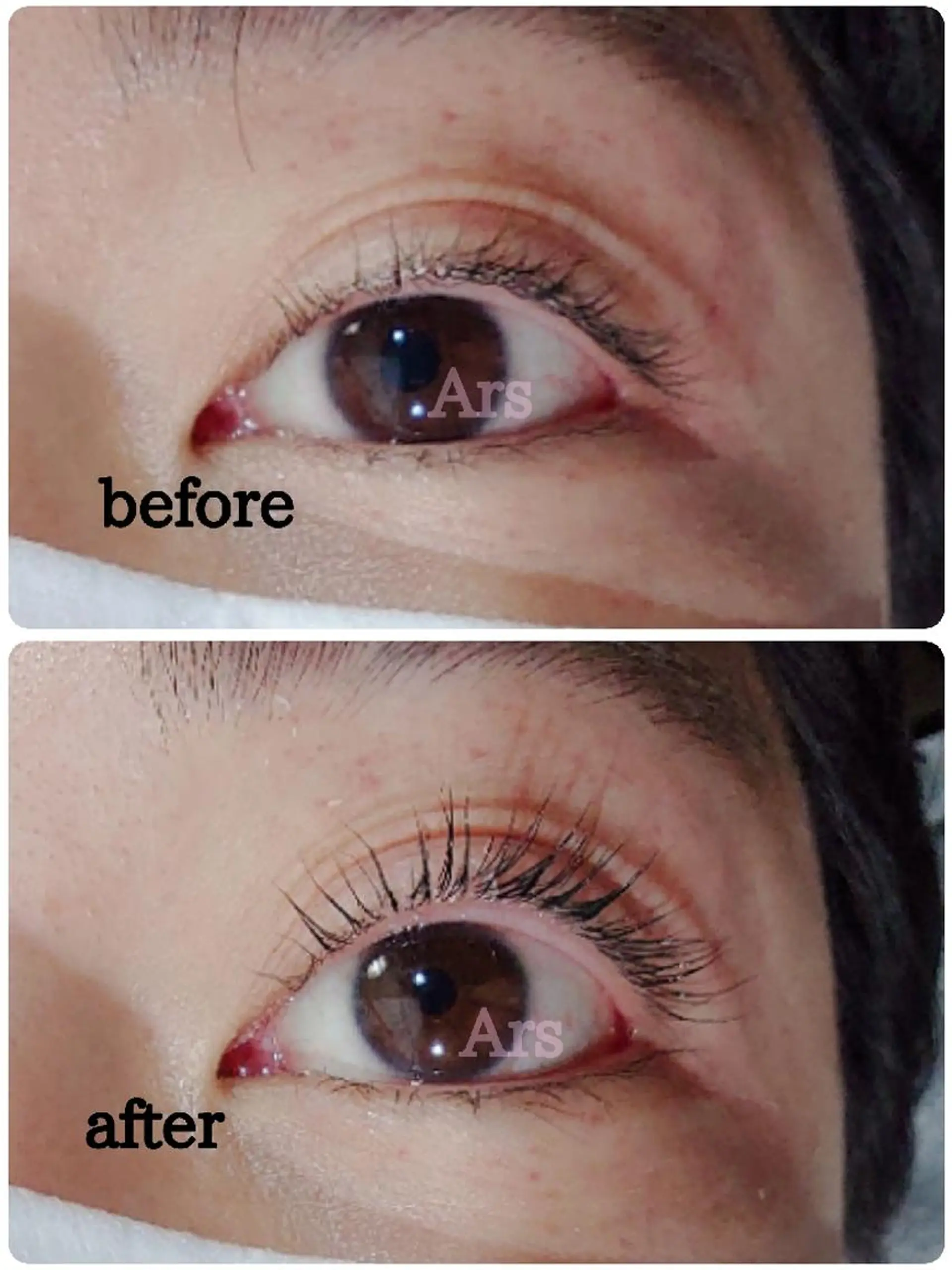 マツエク・マツパ アイリッドアップパーマ Ars      (ｱﾙｽ)のマツエク・マツパデザイン