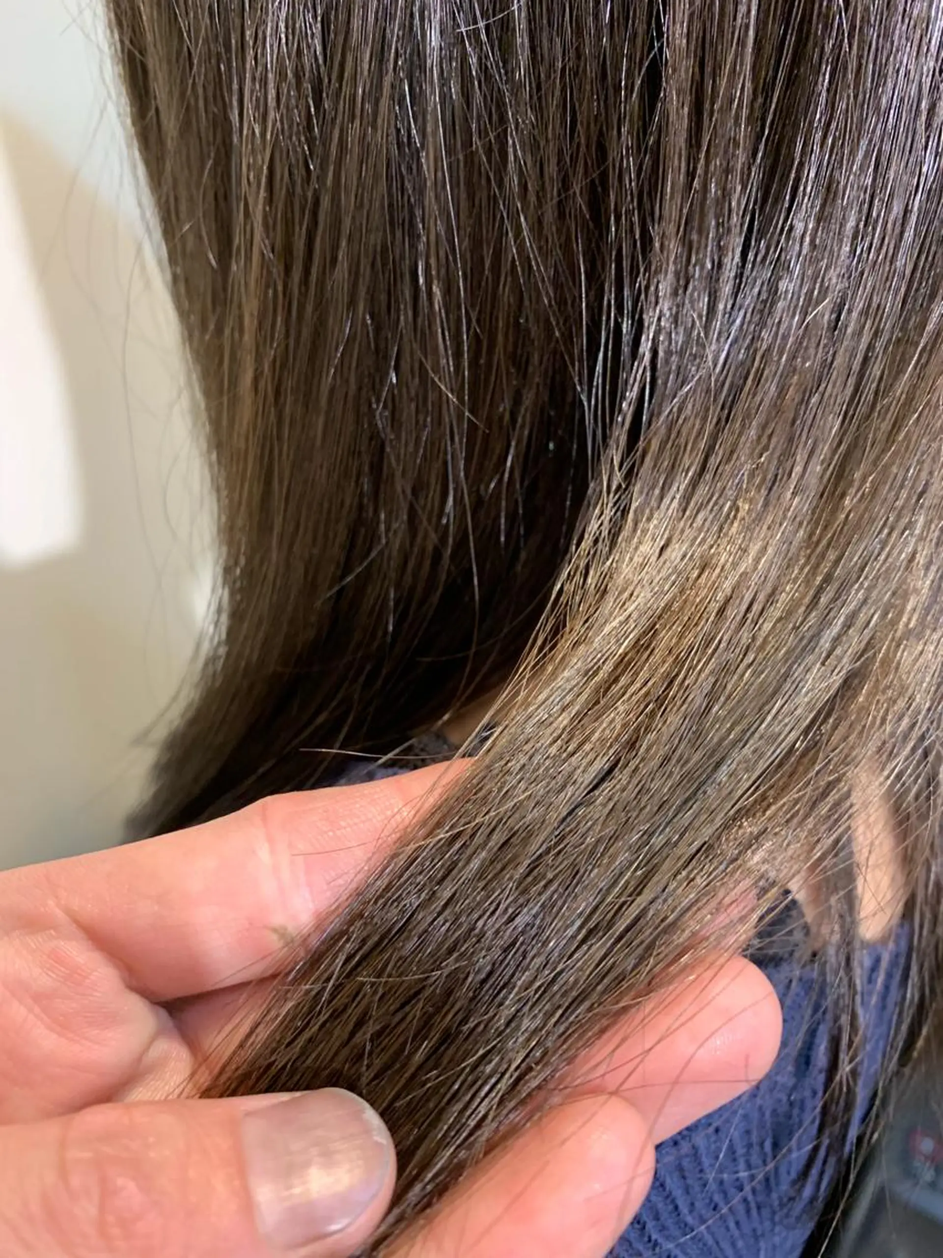 セミロング カラー アッシュ ブルーカラー ブルーアッシュ ヘアカラー 四ッ井 翔のヘアスタイル