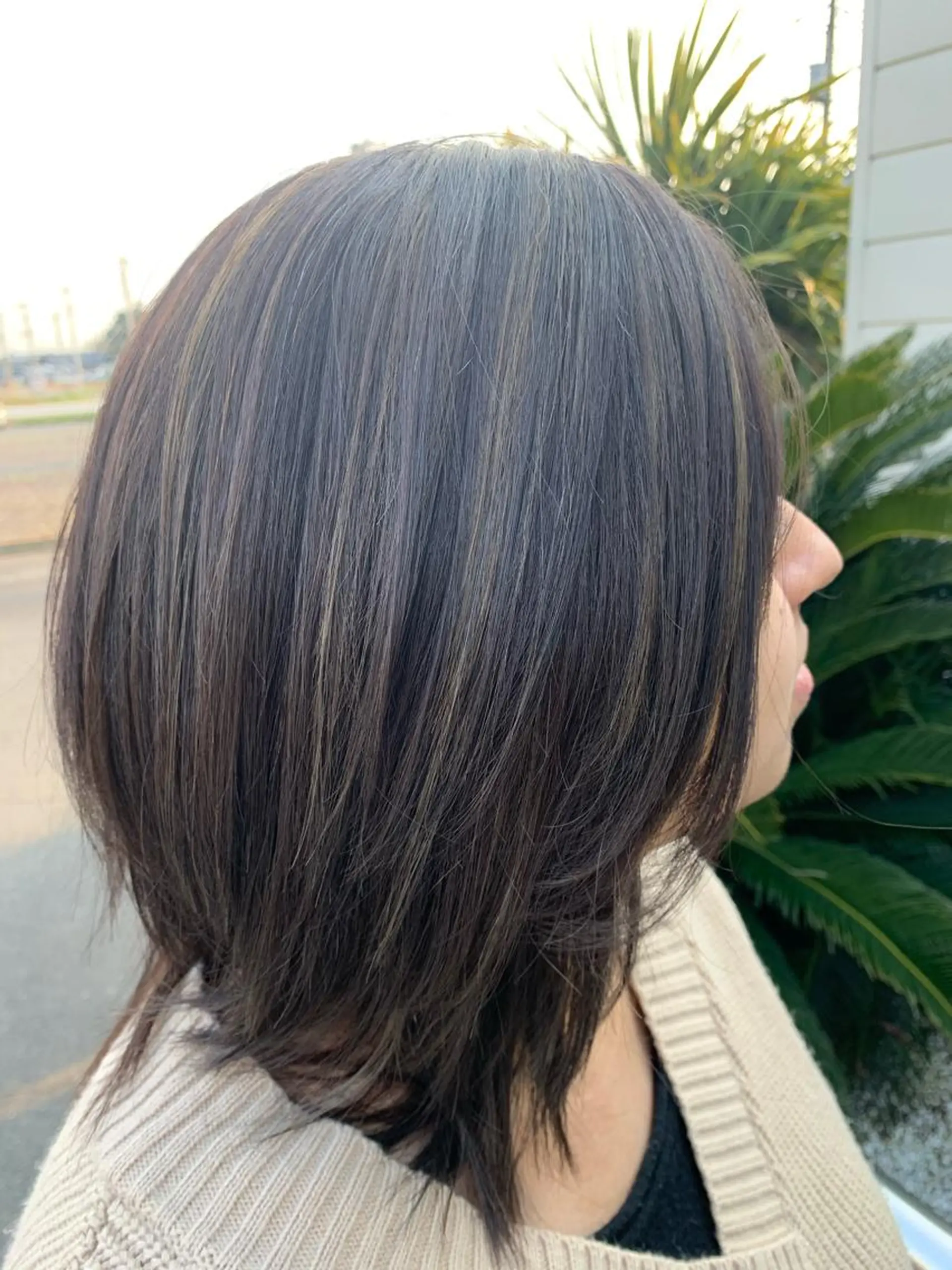 カラー ハイライトカラー 平古場 来夢のマツエク・マツパデザイン